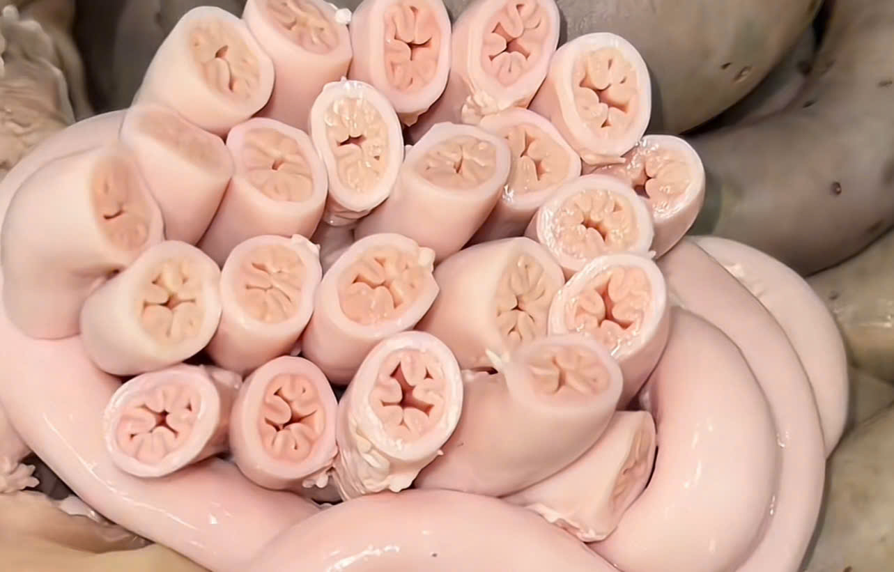 Lòng se điếu: Nguy cơ tiềm ẩn từ món 'đặc sản' được nhiều người ưa chuộng Lòng se điếu: Nguy cơ tiềm ẩn từ món 'đặc sản' được nhiều người ưa chuộng - Ảnh 1.