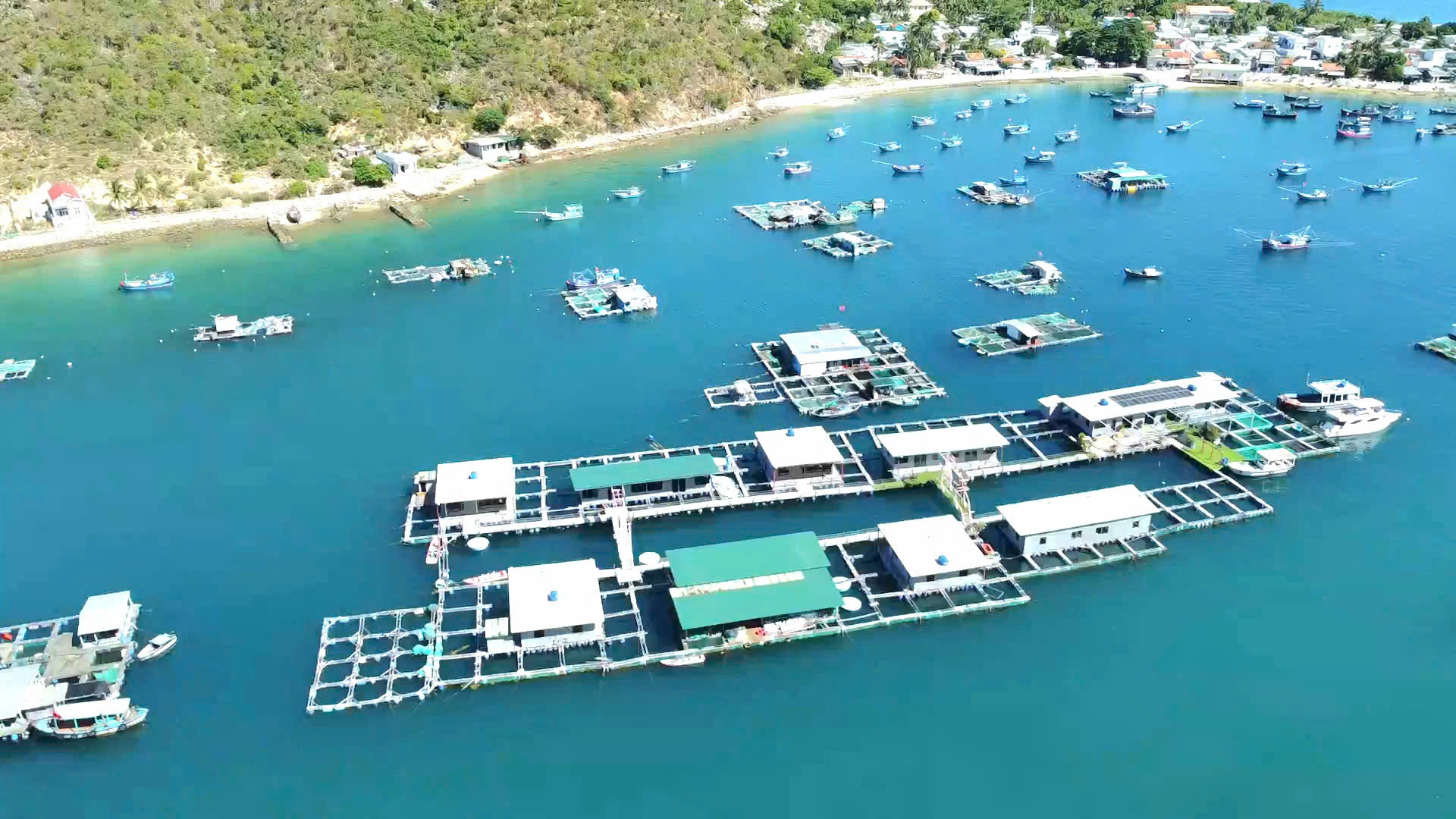 Xử lý nghiêm bè nổi ‘chặt chém’ du khách trên vịnh Nha Trang - Ảnh 2.