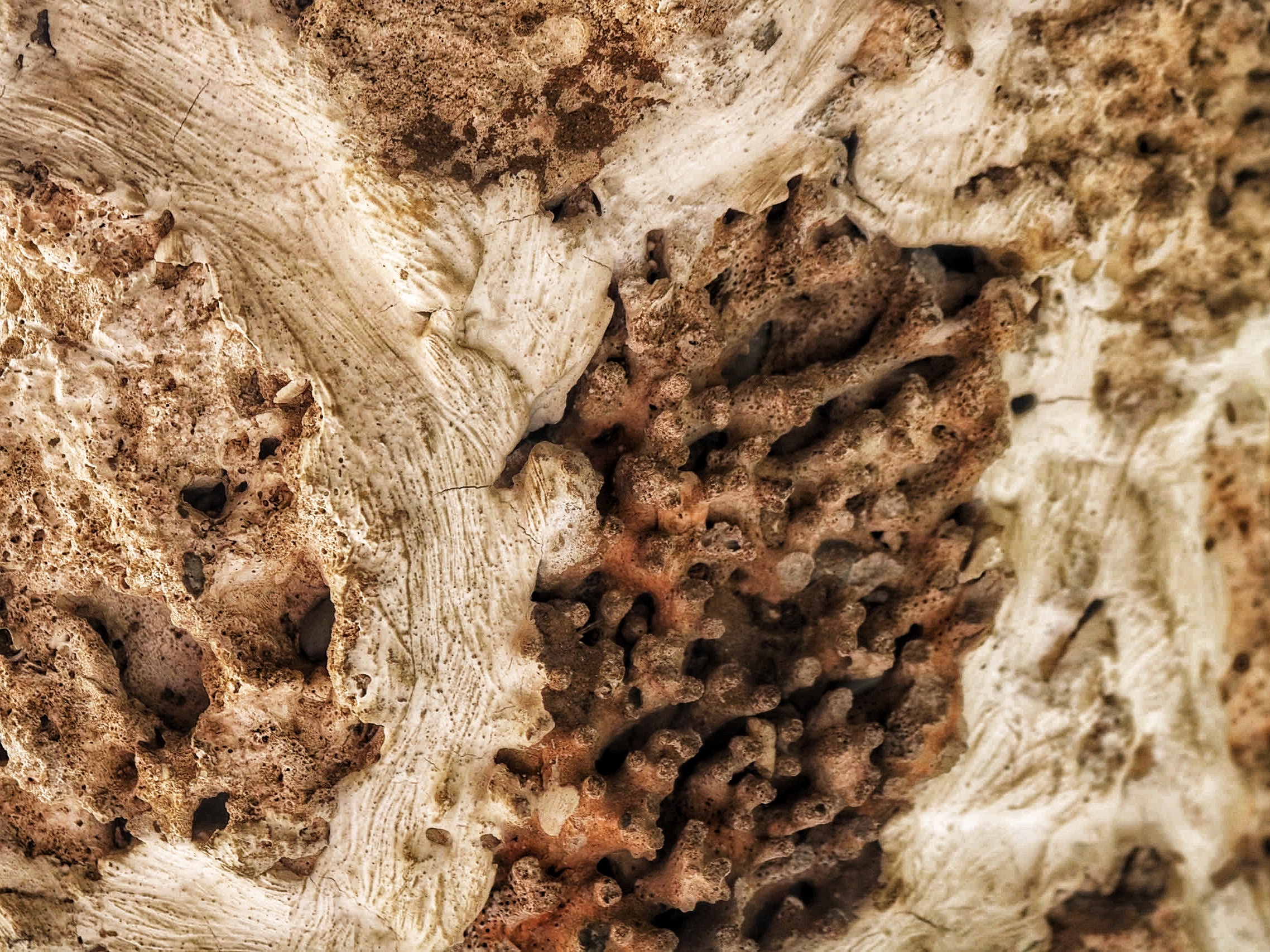 Ng&ocirc;i ch&ugrave;a san h&ocirc; độc đ&aacute;o, nơi thờ tượng Quan &Acirc;m ph&aacute;t hiện ngo&agrave;i biển- Ảnh 6.