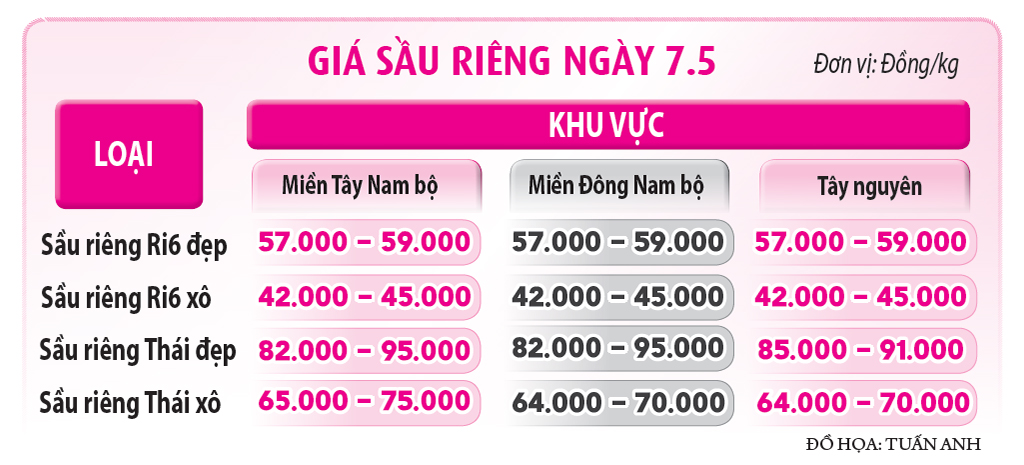 Sầu riêng vẫn loay hoay giải quyết chất vàng O- Ảnh 2. Sầu riêng vẫn loay hoay giải quyết chất vàng O- Ảnh 2.