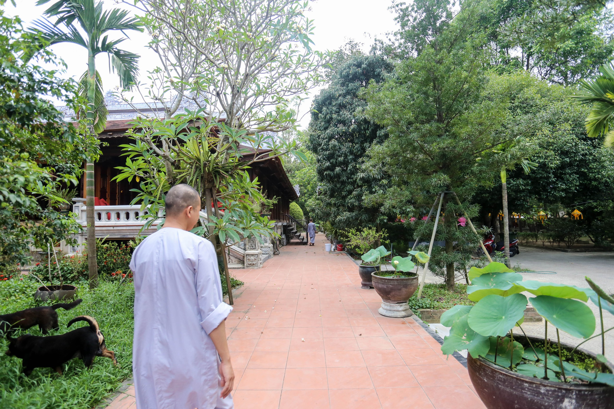 Thăm ngôi cổ tự từ thời triều Nguyễn, có bức tranh tranh 'Long vân khế hội'- Ảnh 5.