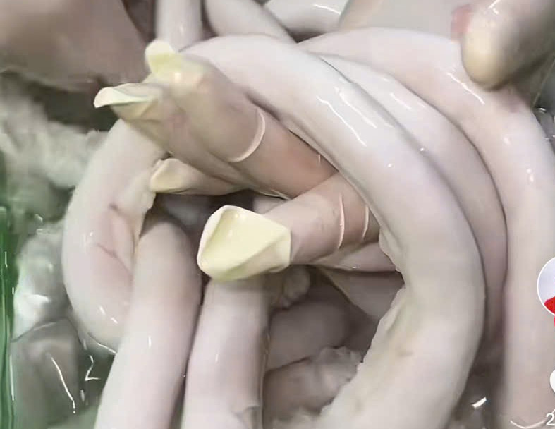 Làm sao phân biệt lòng se điếu thật - giả? Làm sao phân biệt lòng se điếu thật - giả? - Ảnh 2.