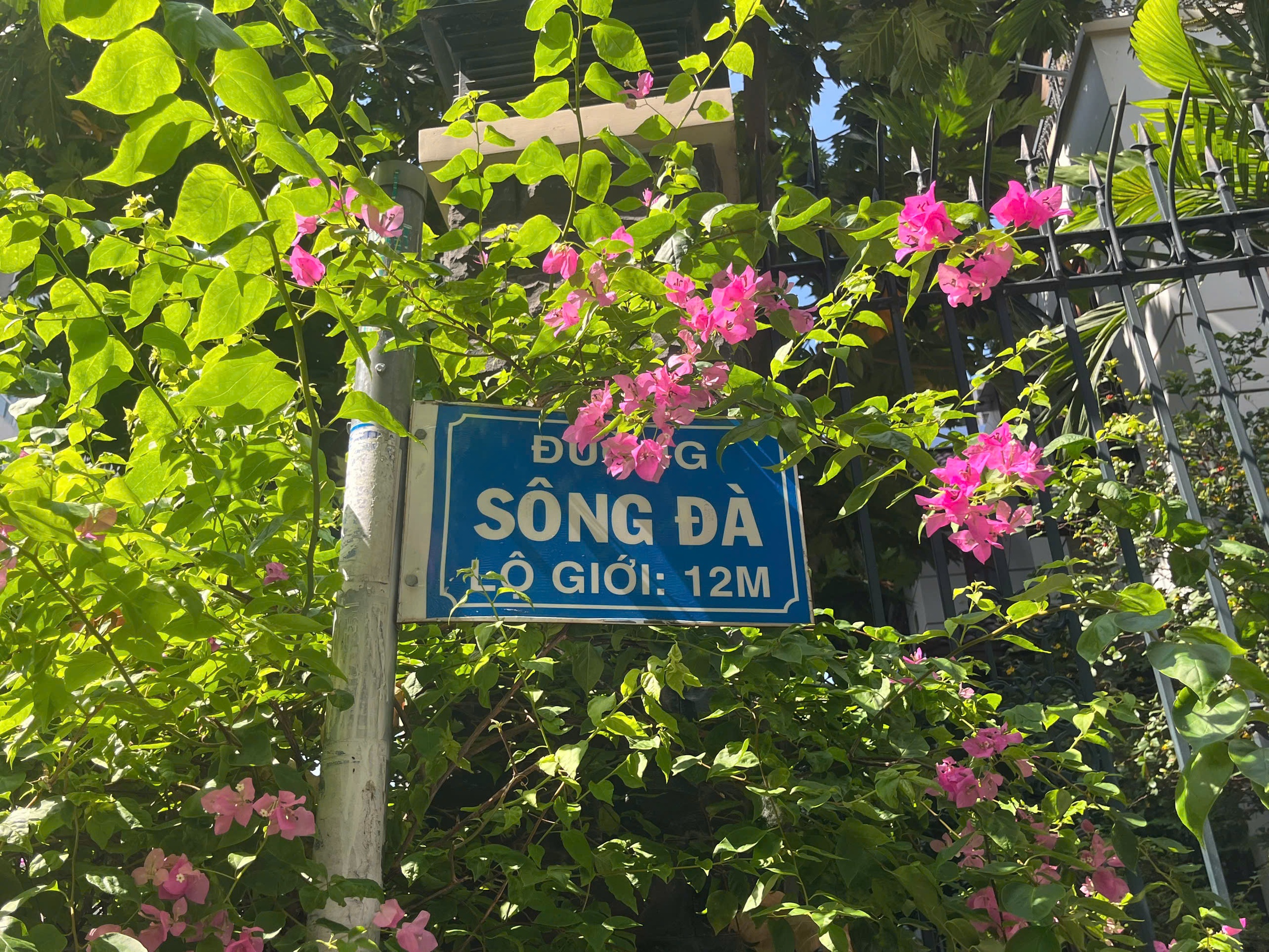 Sống ở TP.HCM: Độc lạ quận Tân Bình có nhiều con đường tên sông
- Ảnh 3. Sống ở TP.HCM: Độc lạ quận Tân Bình có nhiều con đường tên sông
- Ảnh 3.