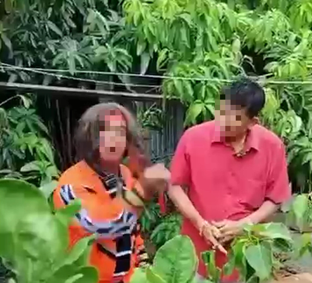 - Ảnh 1. - Ảnh 1.