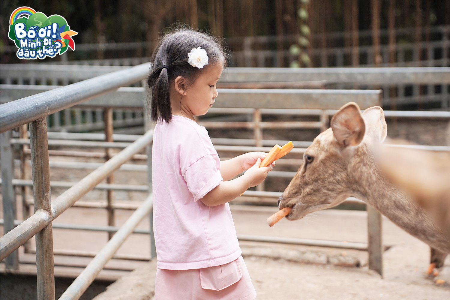 'Bố ơi mình đi đâu thế' gây tranh cãi trong tập đầu lên sóng - Ảnh 1.