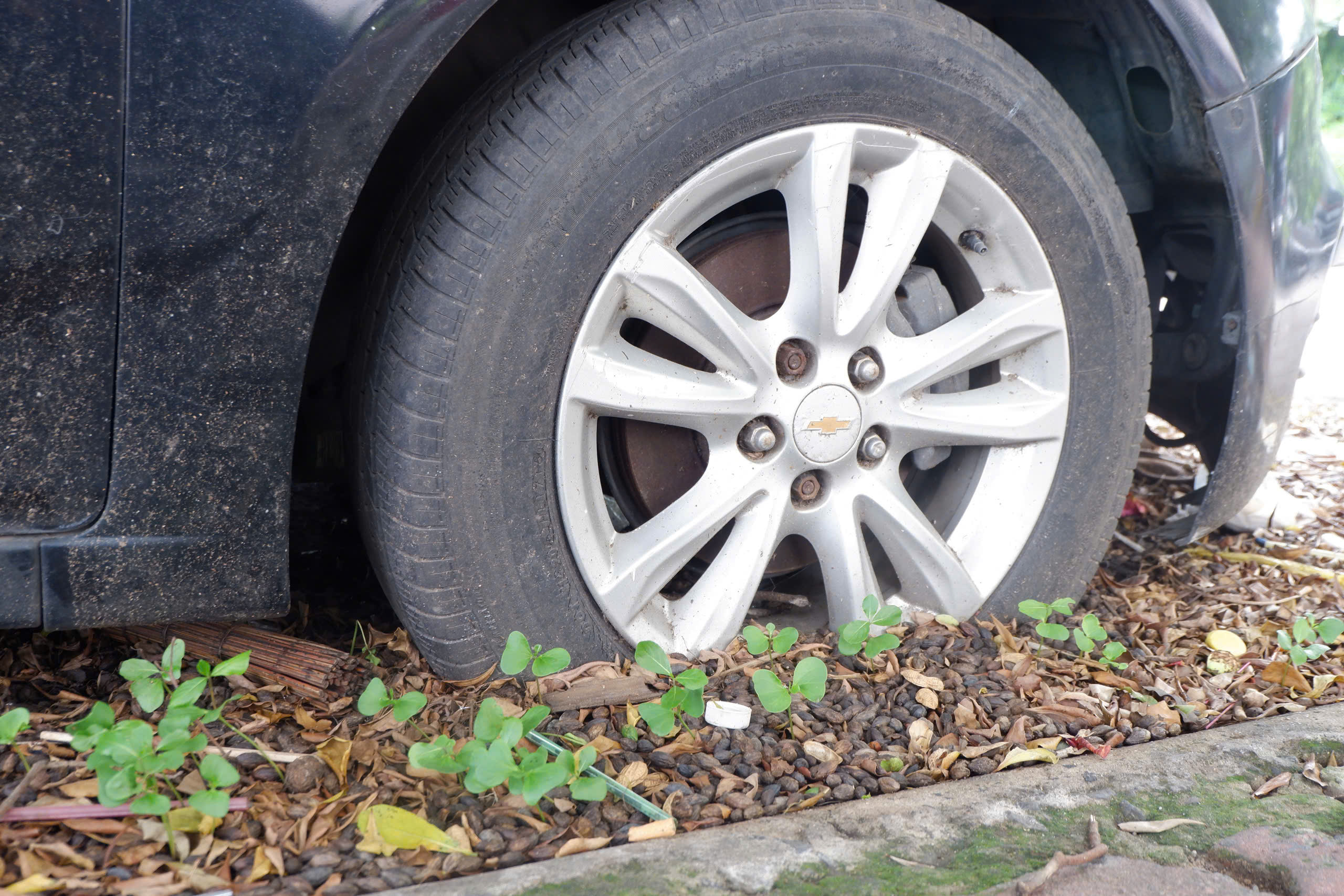 TP.HCM: Ô tô bị 'bỏ quên' ở Bình Thạnh, bên trong có biển số- Ảnh 4.