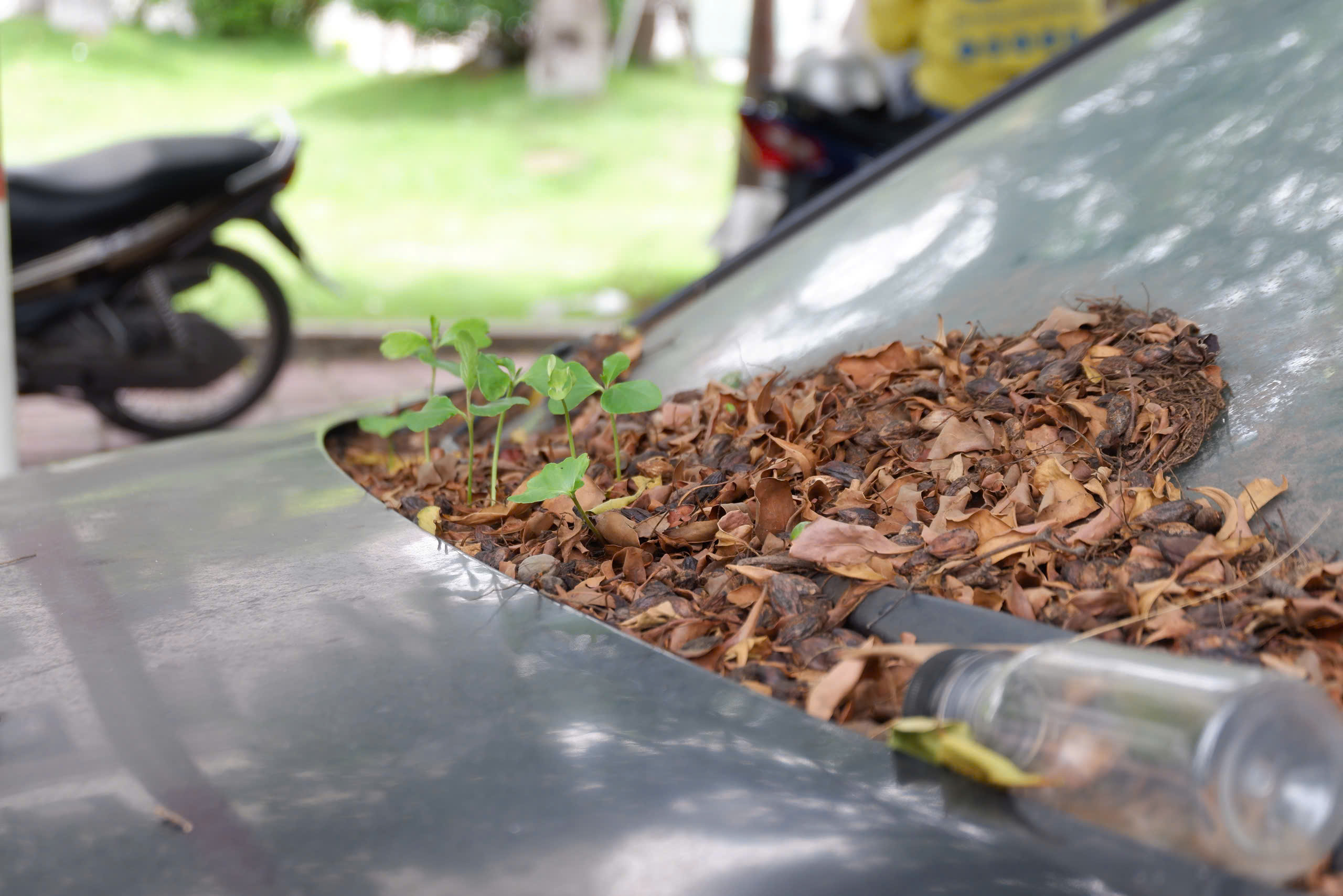 TP.HCM: Ô tô bị 'bỏ quên' ở Bình Thạnh, bên trong có biển số- Ảnh 3.