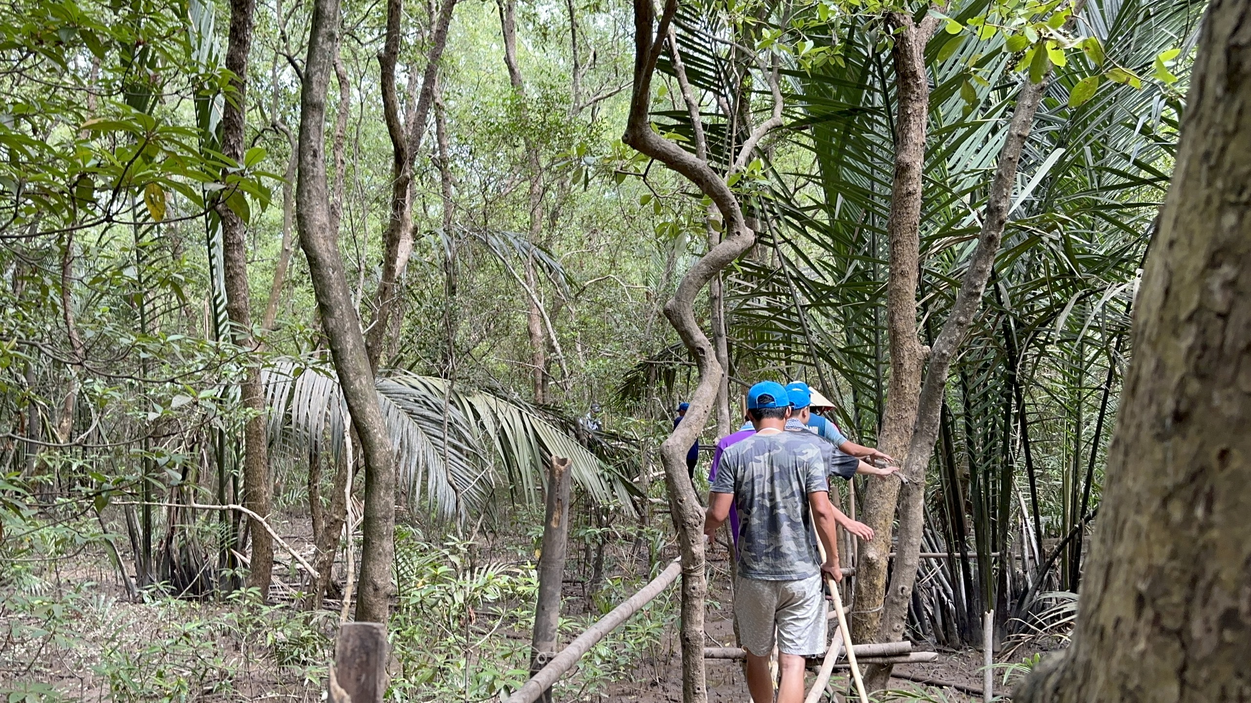 Ngư dân 'đổi đời' nhờ...làm du lịch sinh thái dưới tán rừng phòng hộ- Ảnh 3. Ngư dân 'đổi đời' nhờ...làm du lịch sinh thái dưới tán rừng phòng hộ- Ảnh 3.