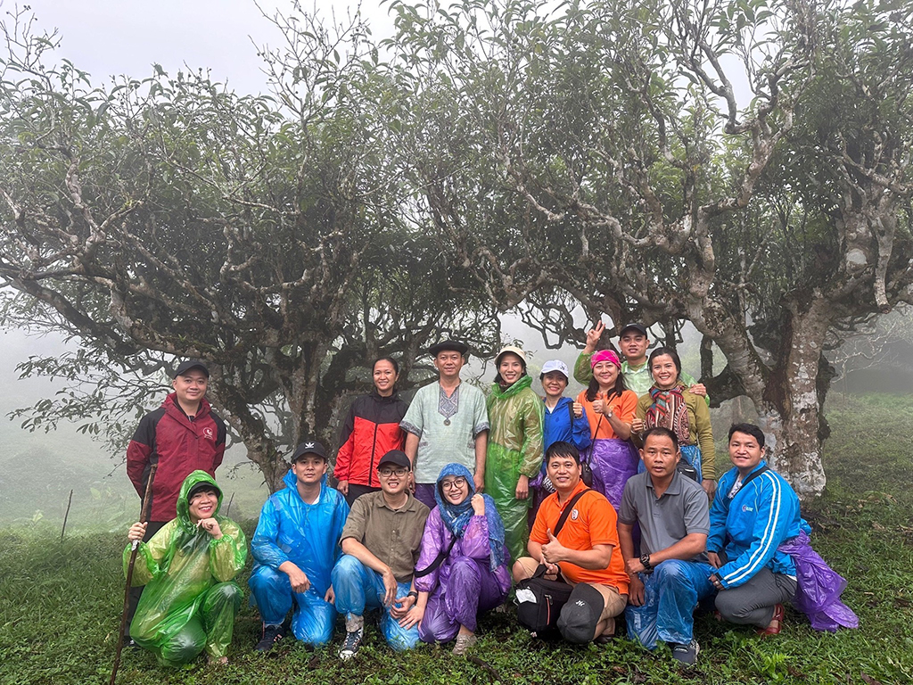Uống trà đi: Khám phá đam mê trà và tình người qua những chén trà nghĩa tình - Ảnh 4.