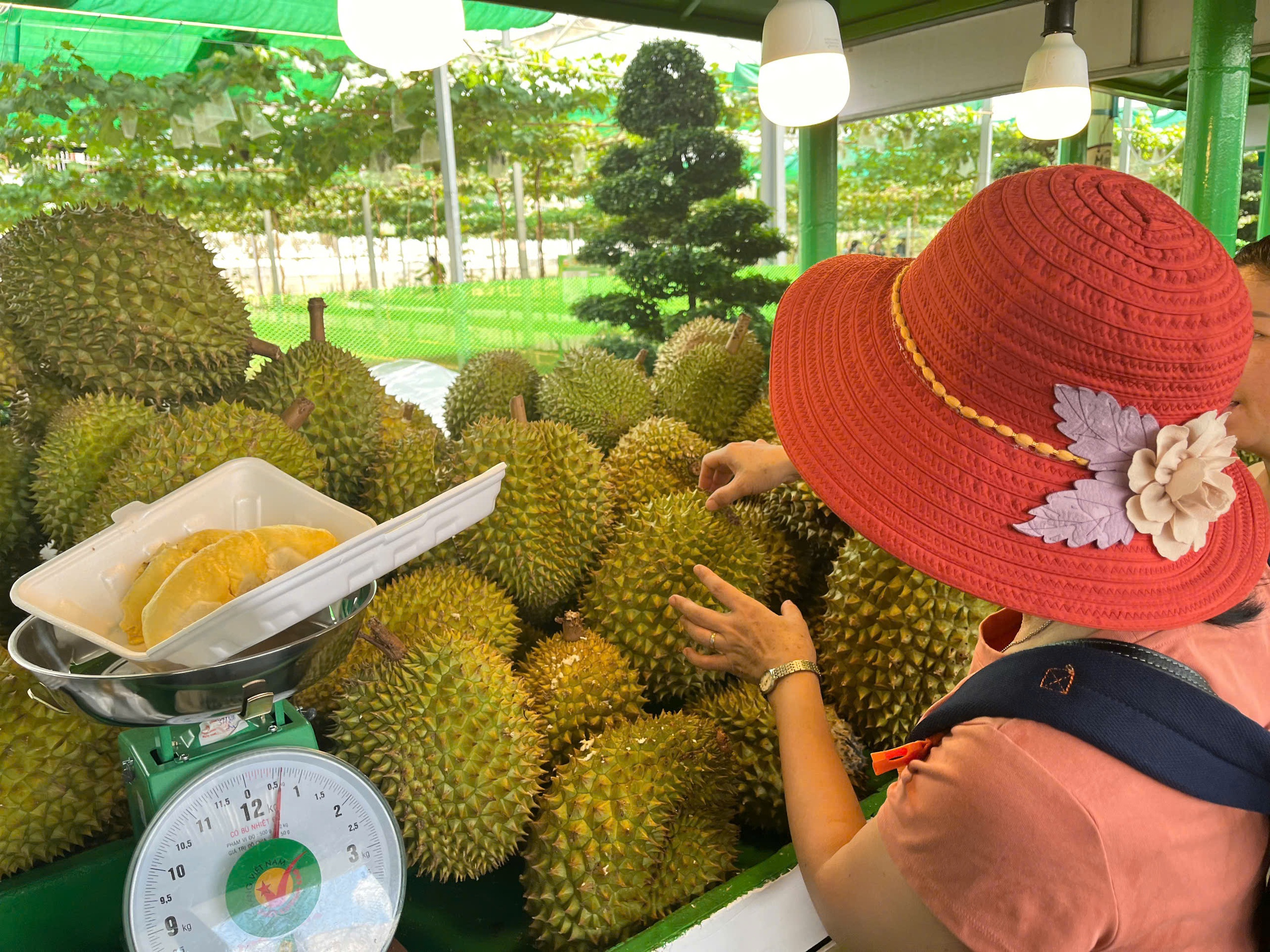 Khách đổ xô mua sầu riêng trong lễ hội trái cây Nam bộ ở Suối Tiên - Ảnh 2.