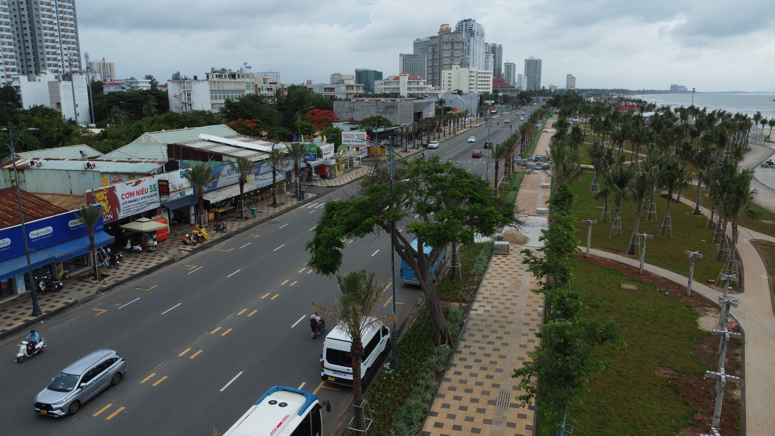 Cây phượng nửa lá nửa hoa độc lạ ở Vũng Tàu khiến du khách ngỡ ngàng hè 2025 - Ảnh 1. Cây phượng nửa lá nửa hoa độc lạ ở Vũng Tàu khiến du khách ngỡ ngàng hè 2025 - Ảnh 1.