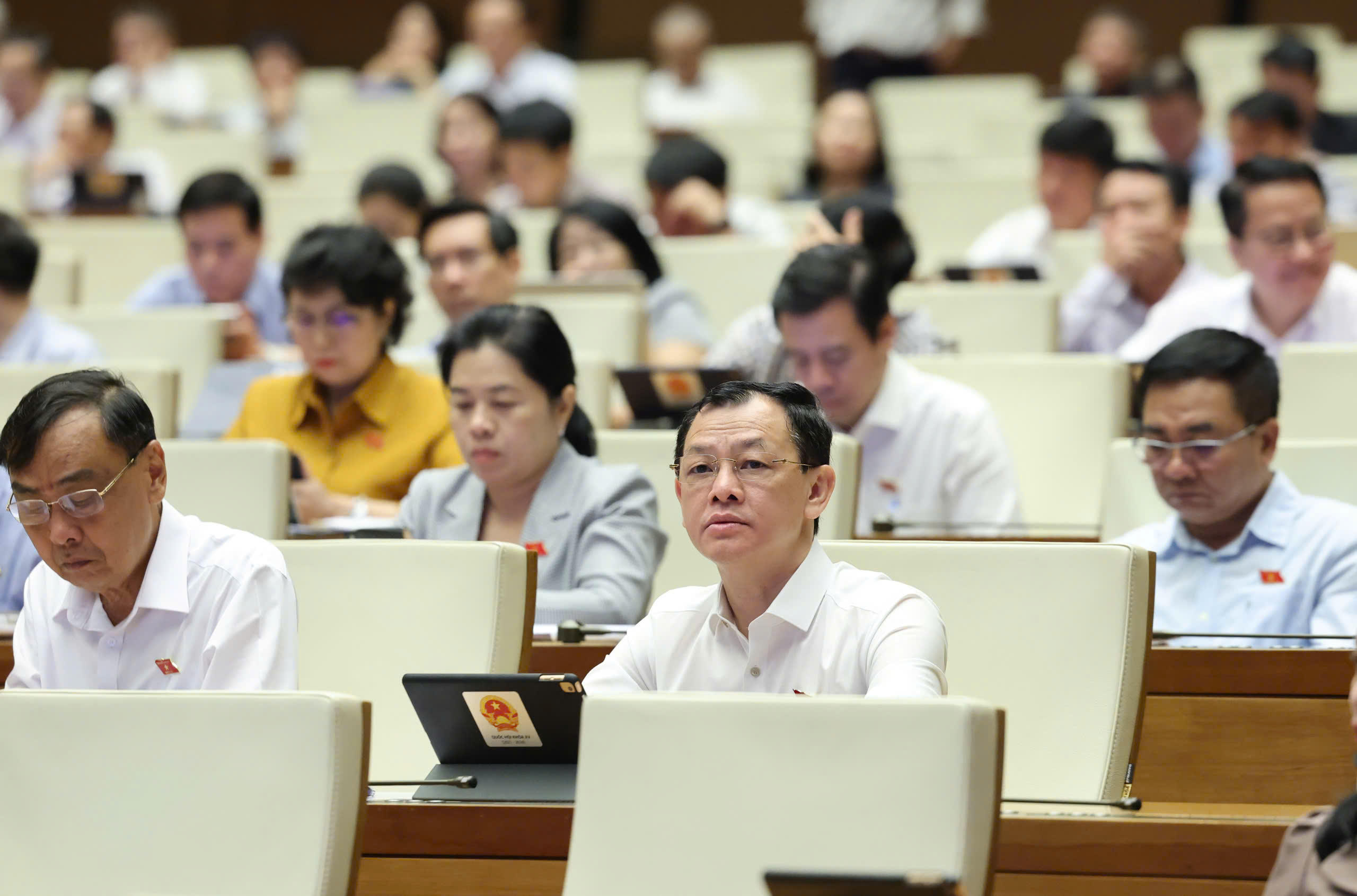 - Ảnh 2. - Ảnh 2.