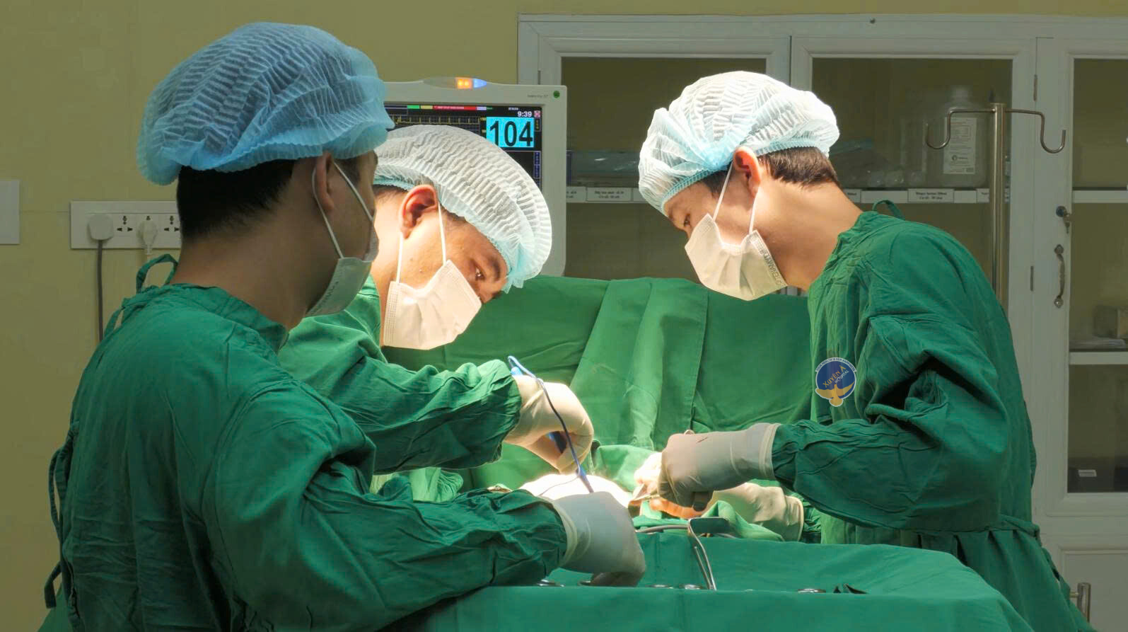 Tp.hcm: Người Phụ Nữ Bỏ Tiền Triệu Mua Ong Về Tự Trị Ung Thư Tp.hcm: Người Phụ Nữ Bỏ Tiền Triệu Mua Ong Về Tự Trị Ung Thư Vú - Ảnh 1.