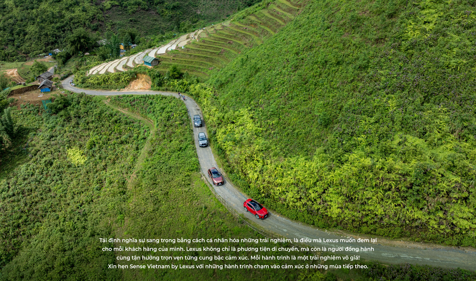 Sense Vietnam by Lexus - Hành trình của những con người cùng tần số - Ảnh 5.