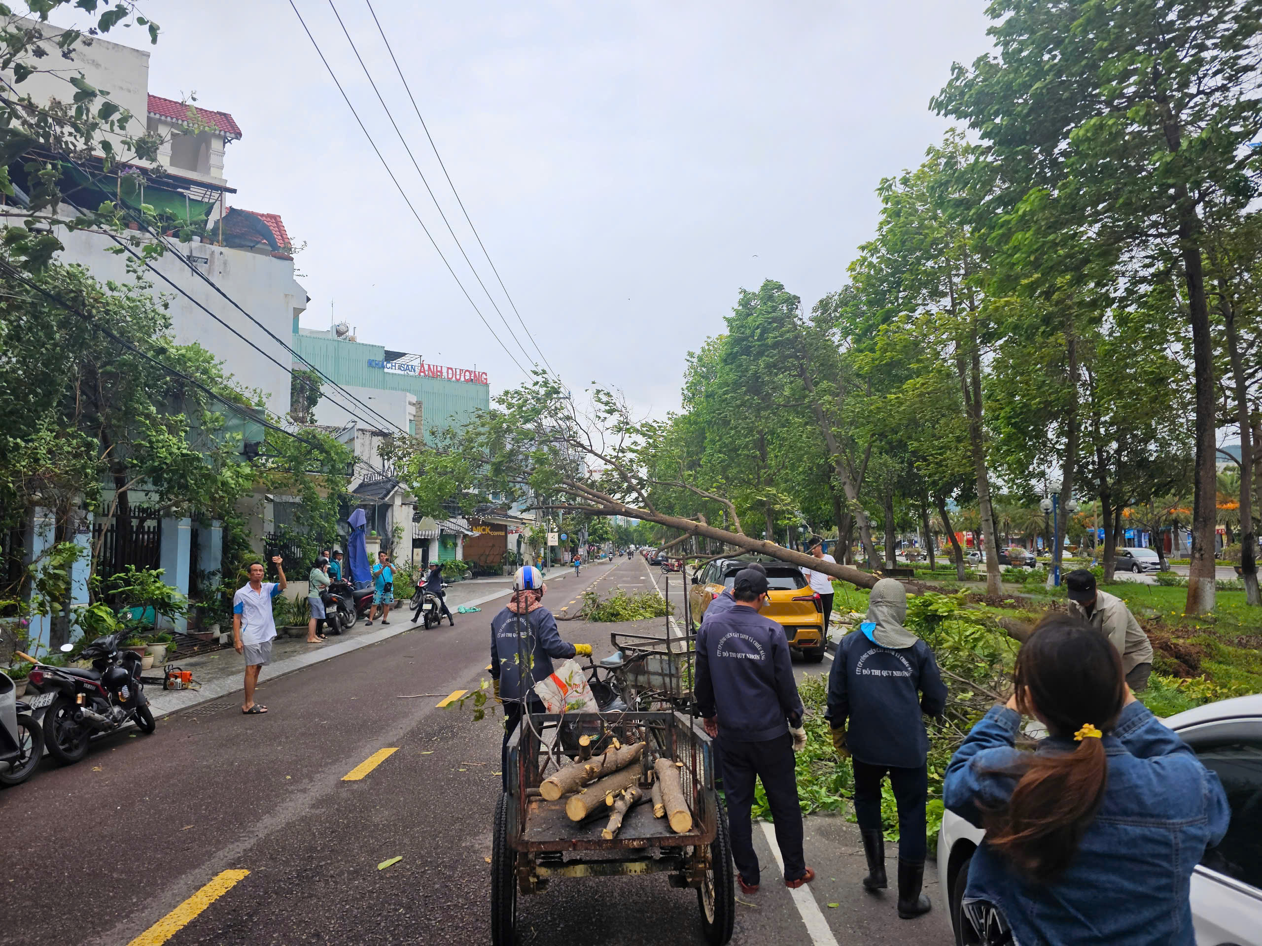 Cây bật gốc đè người giữa phố Quy Nhơn do ảnh hưởng bão số 1 - Ảnh 3. Cây bật gốc đè người giữa phố Quy Nhơn do ảnh hưởng bão số 1 - Ảnh 3.
