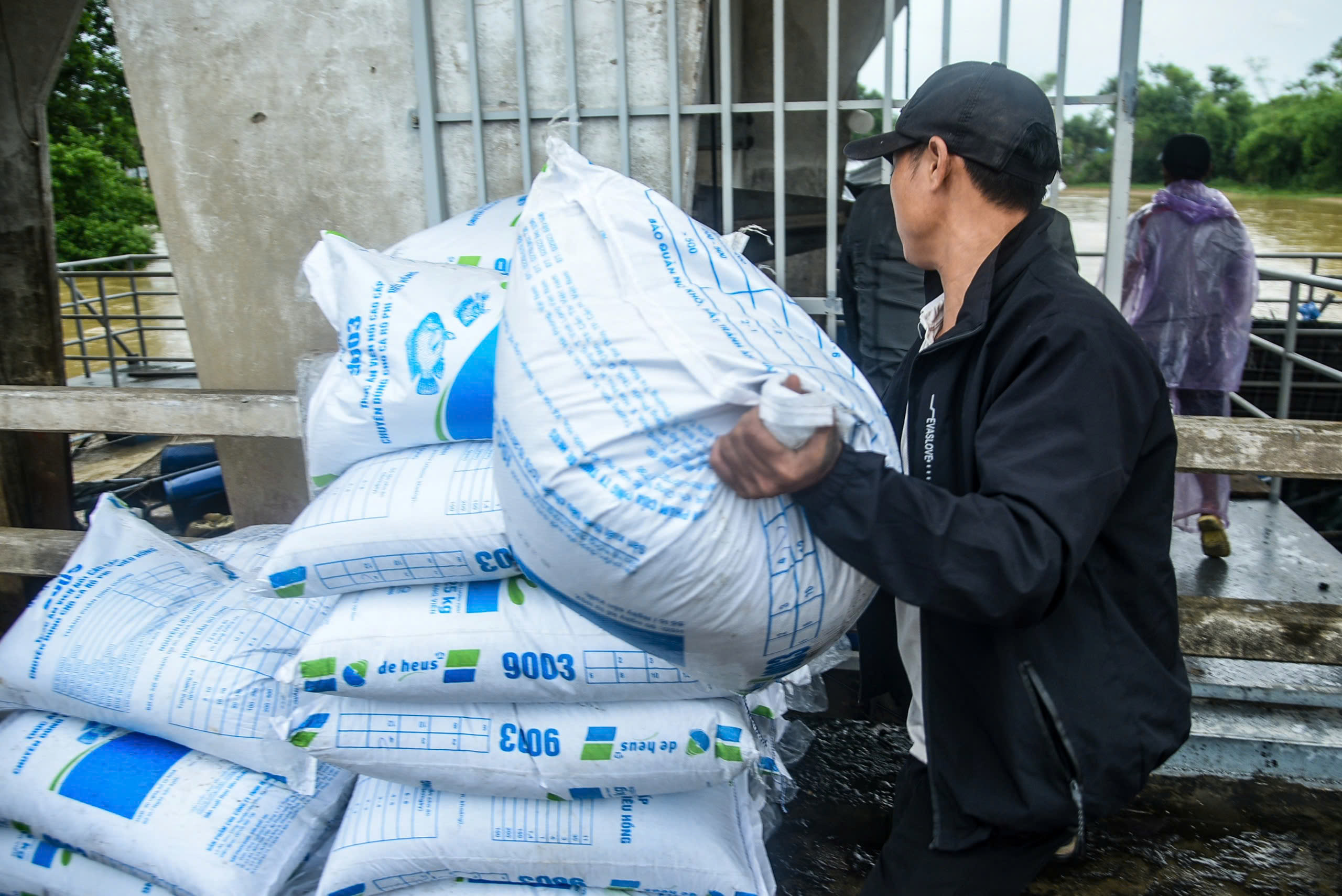 Nước lũ cuốn trôi lồng bè, người dân mất trắng 50 tấn cá - Ảnh 14.