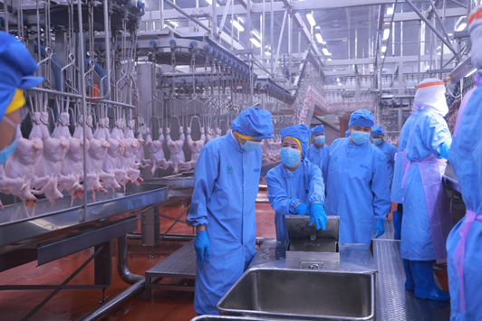 Bình Phước kiểm tra công tác an toàn thực phẩm tại nhà máy CPV Food Bình Phước kiểm tra công tác an toàn thực phẩm tại nhà máy CPV Food