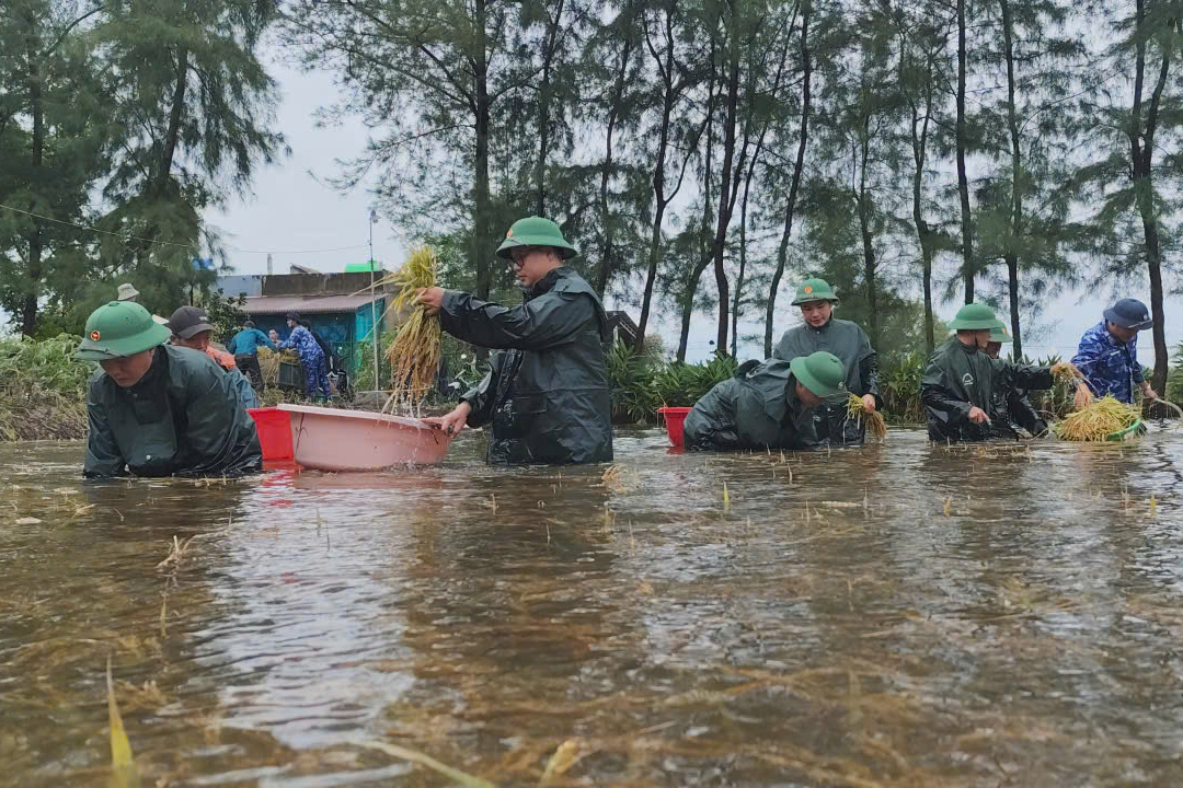 Sau bão số 1, cán bộ, chiến sĩ Quảng Trị giúp người dân khắc phục hậu quả - Ảnh 1.