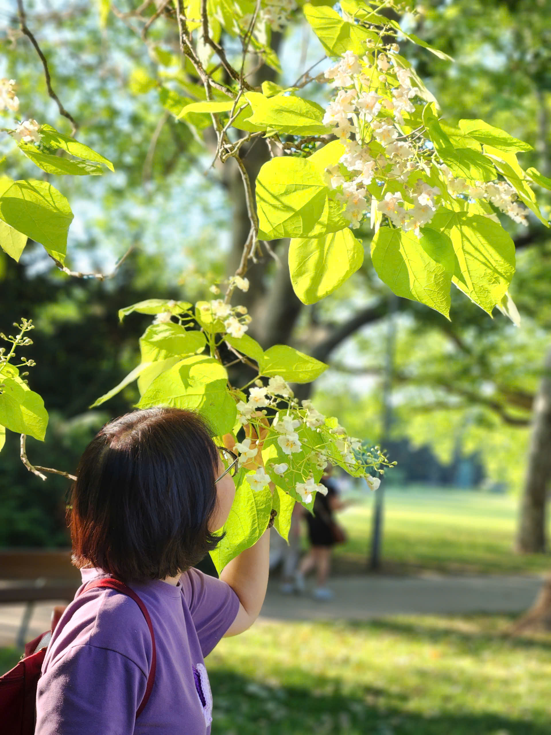 Tận mắt chiêm ngưỡng sự bình yên bên dòng sông Danube xanh - Ảnh 7.