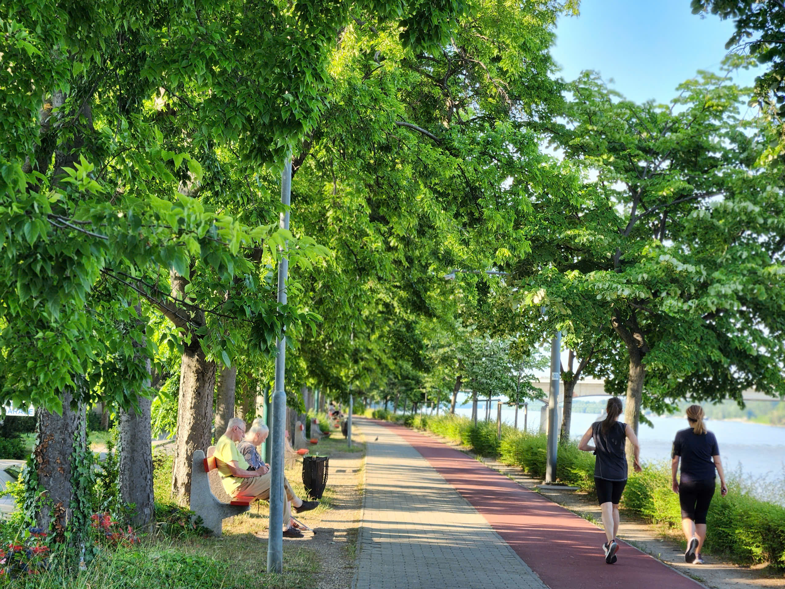 Tận mắt chiêm ngưỡng sự bình yên bên dòng sông Danube xanh - Ảnh 1.