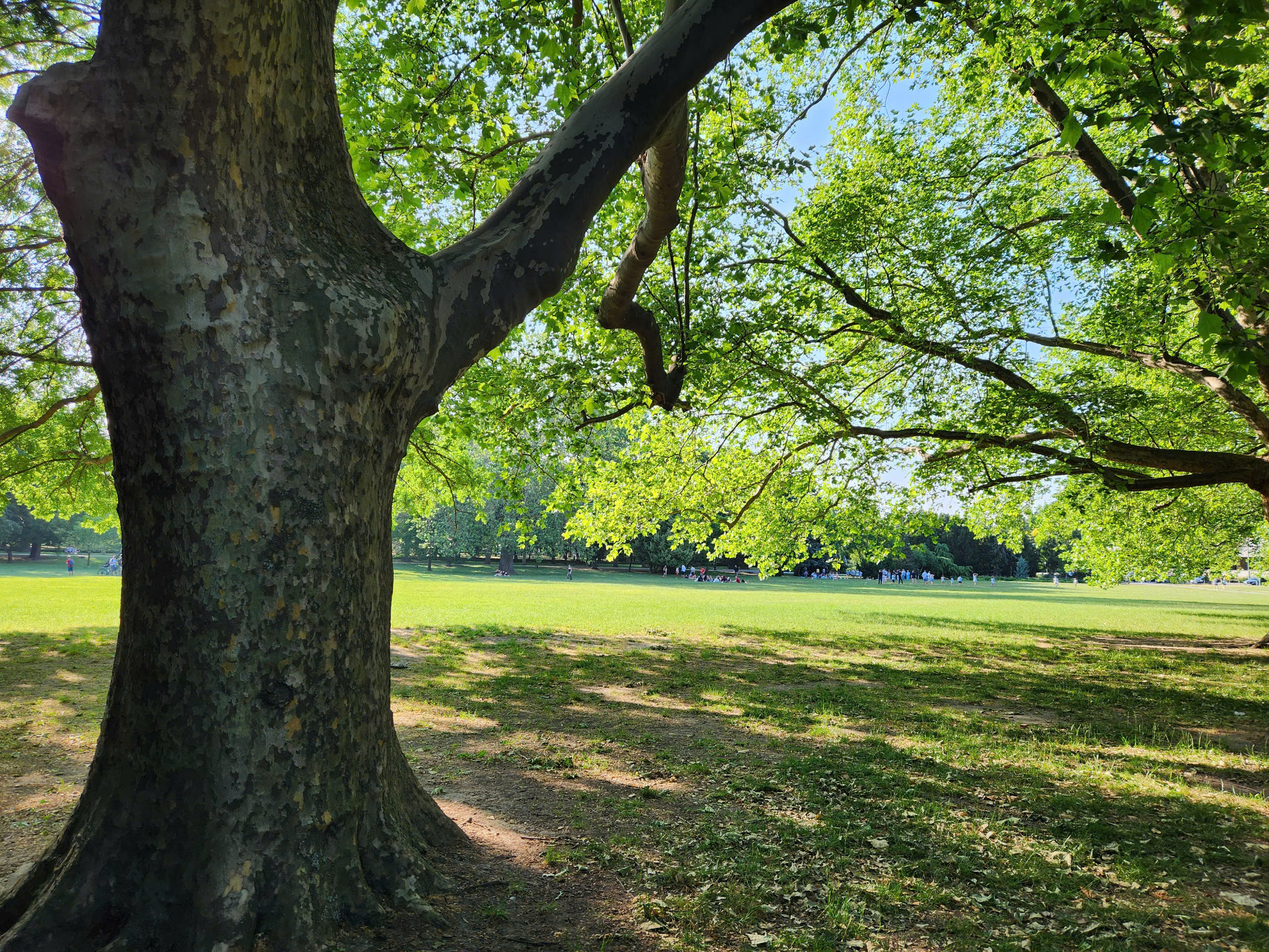 Tận mắt chiêm ngưỡng sự bình yên bên dòng sông Danube xanh - Ảnh 5.
