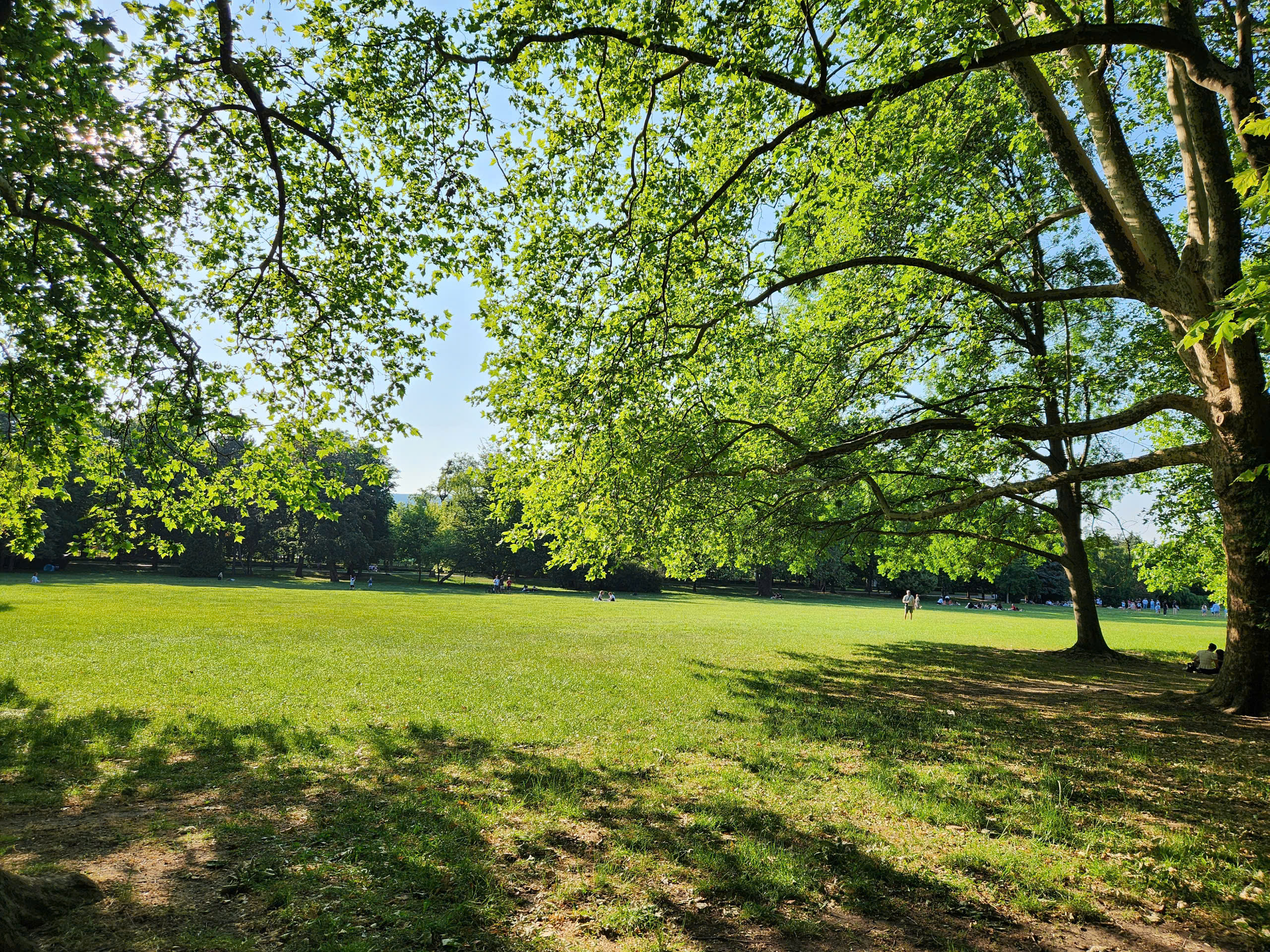 Tận mắt chiêm ngưỡng sự bình yên bên dòng sông Danube xanh - Ảnh 6.