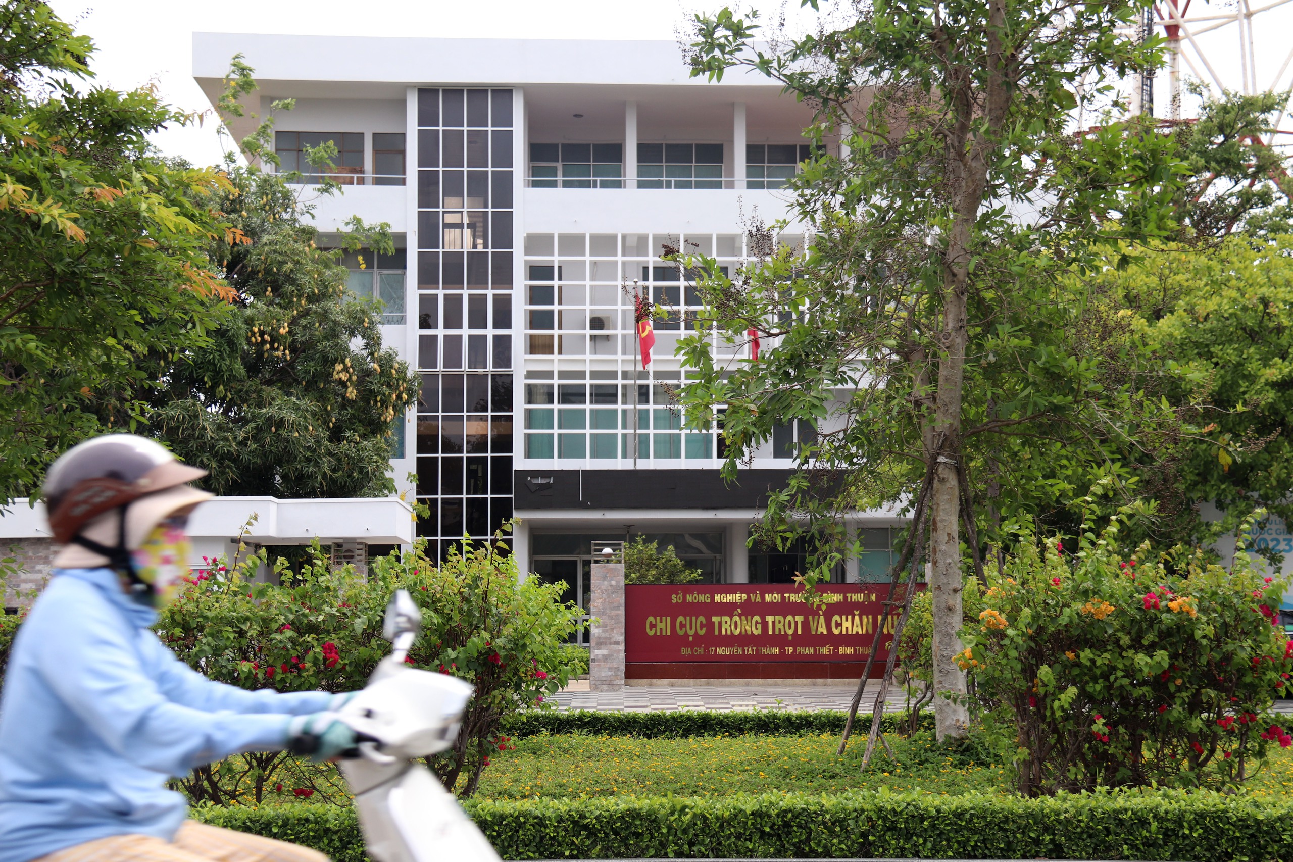 Trụ sở đẹp như Resort của Bình Thuận sau sáp nhập: Được bố trí ra sao- Ảnh 4. Trụ sở đẹp như Resort của Bình Thuận sau sáp nhập: Được bố trí ra sao- Ảnh 4.