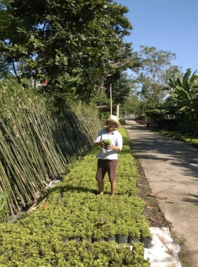 Sống đẹp với niềm đam mê cây cảnh - Ảnh 2.