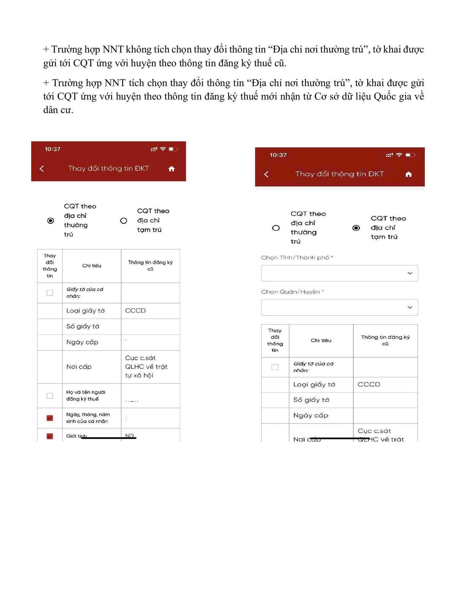 3 cách giúp cá nhân cập nhật ngay thông tin đăng ký thuế - Ảnh 3.