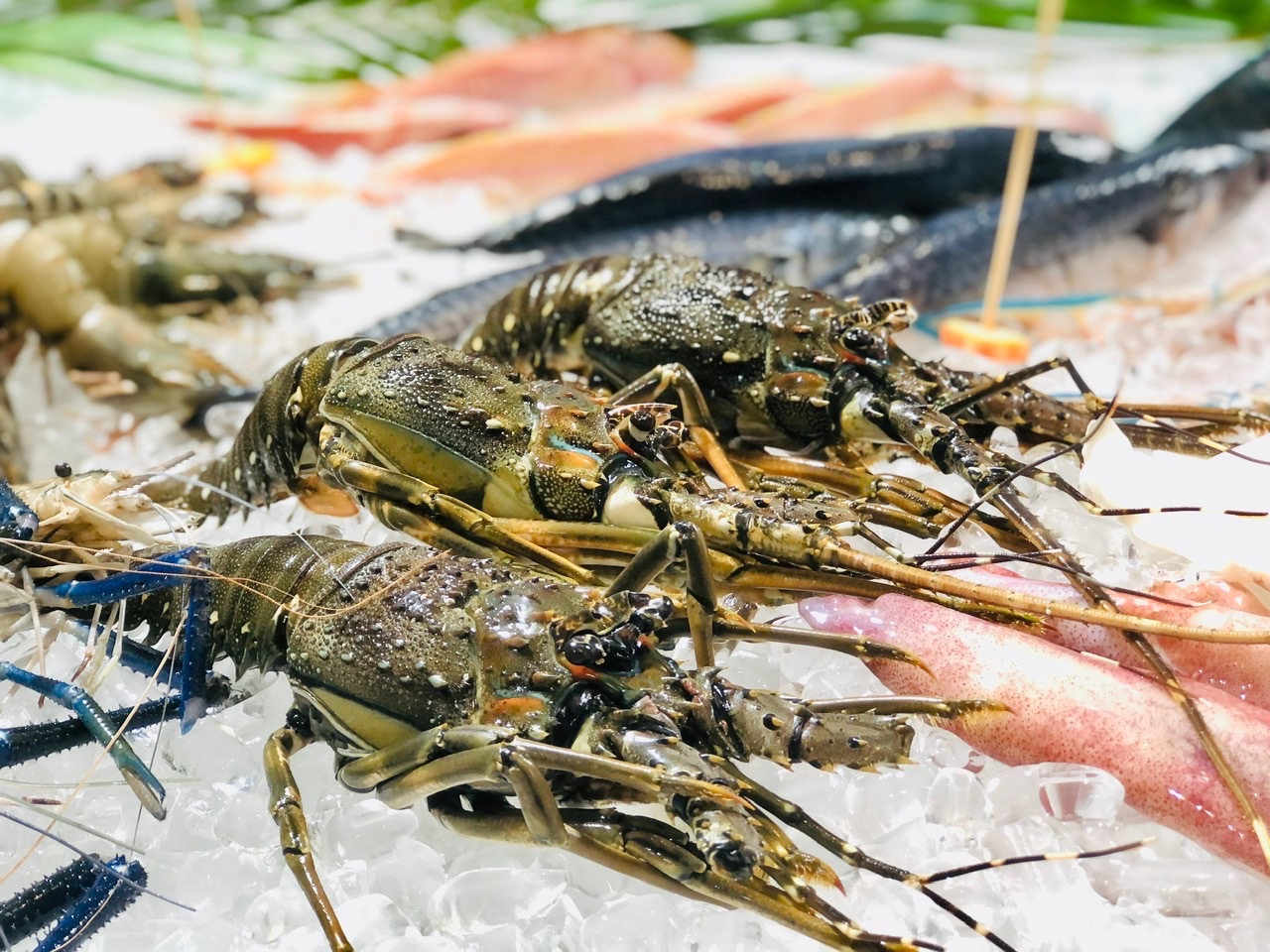 Hé lộ 5 hộ kinh doanh có doanh thu trên 200 tỉ đồng/năm - Ảnh 1.