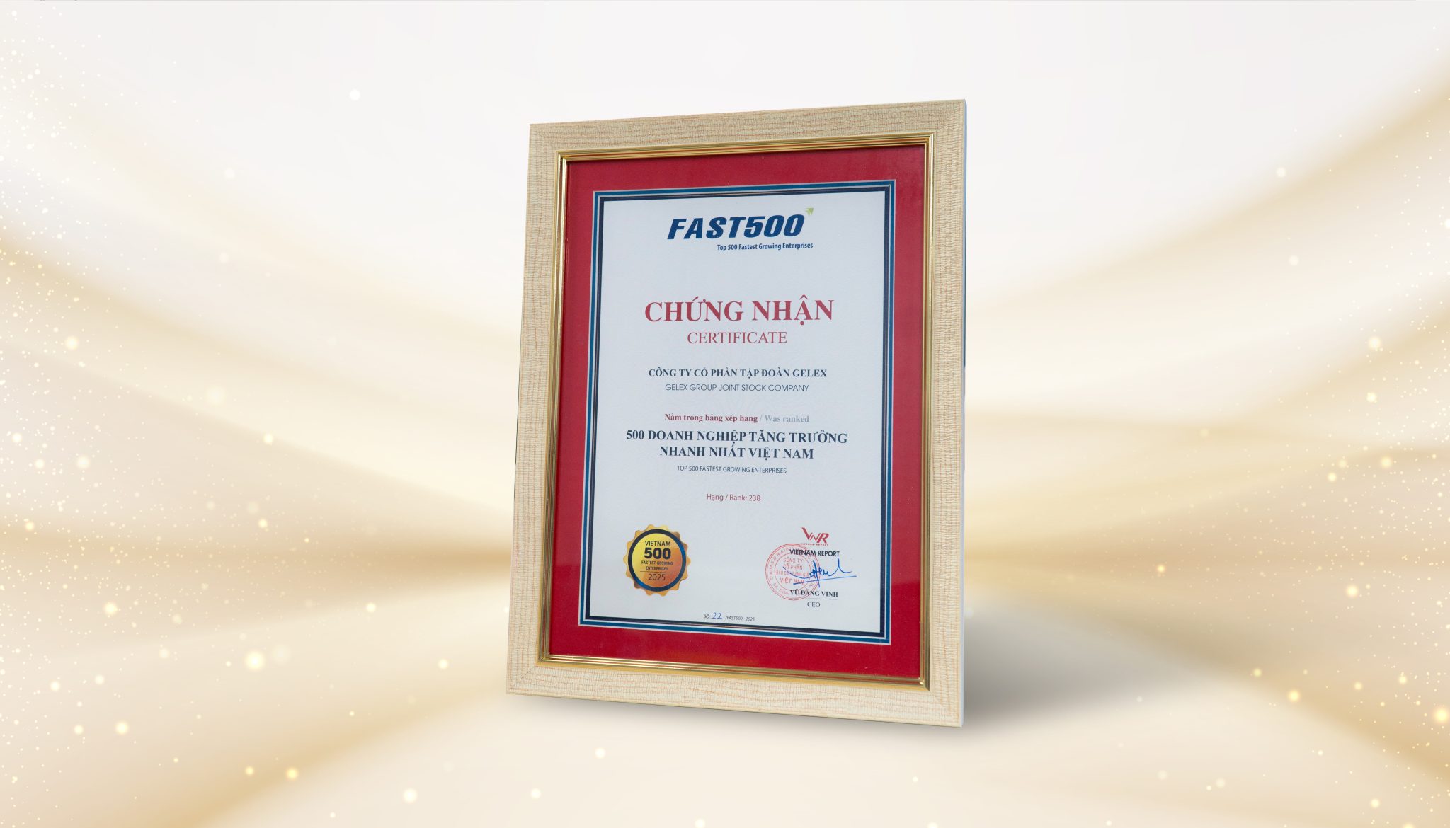 GELEX lần thứ 3 lọt top 50 doanh nghiệp tăng trưởng xuất sắc Việt Nam - Ảnh 1.