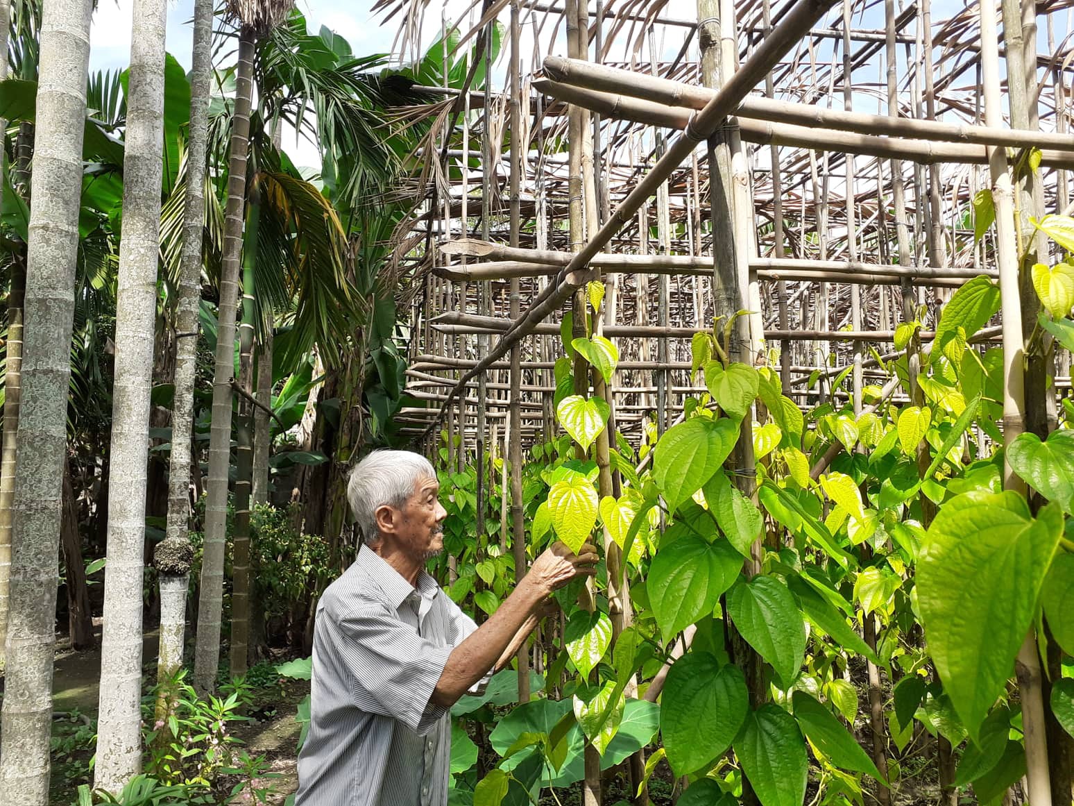 Những trang báo ký ức - Ảnh 3.