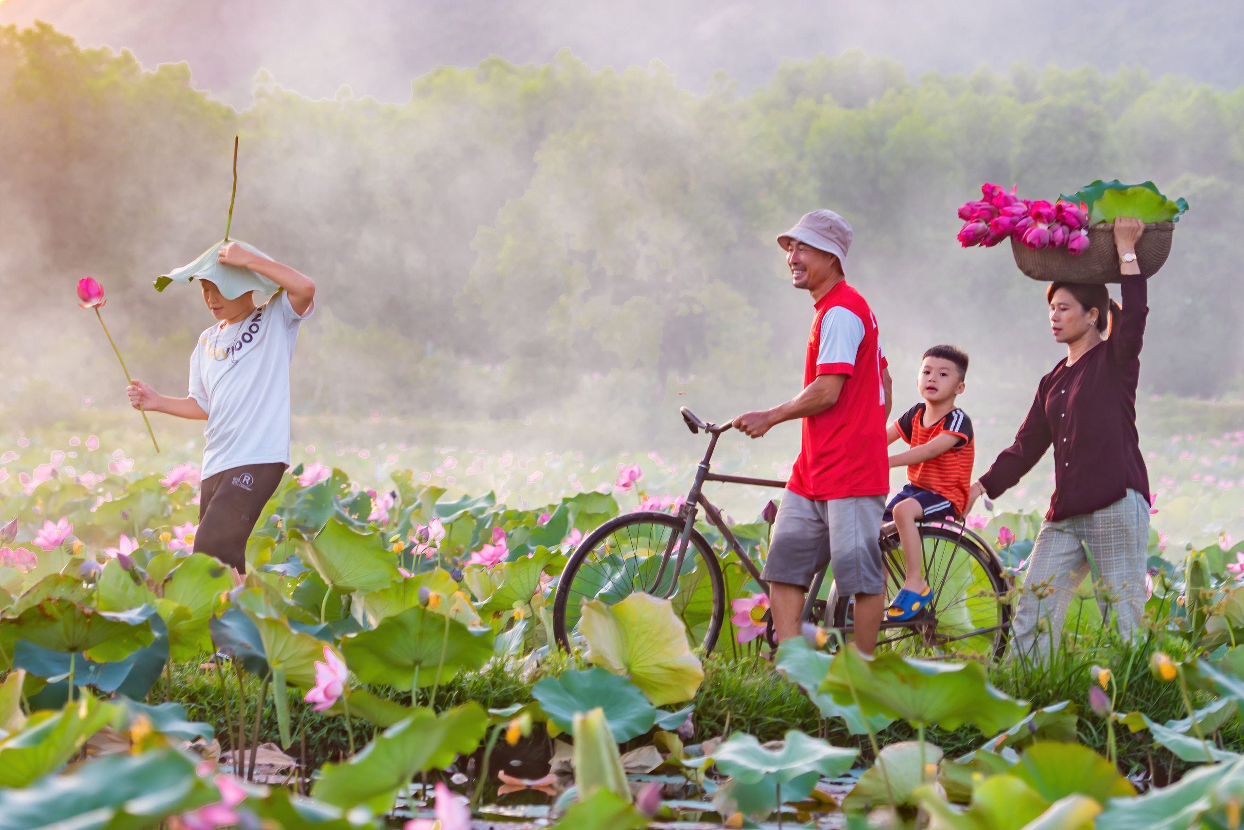 Chiêm ngưỡng cảnh đẹp đầy mê hoặc của đầm sen Trà Lý- Ảnh 7.
