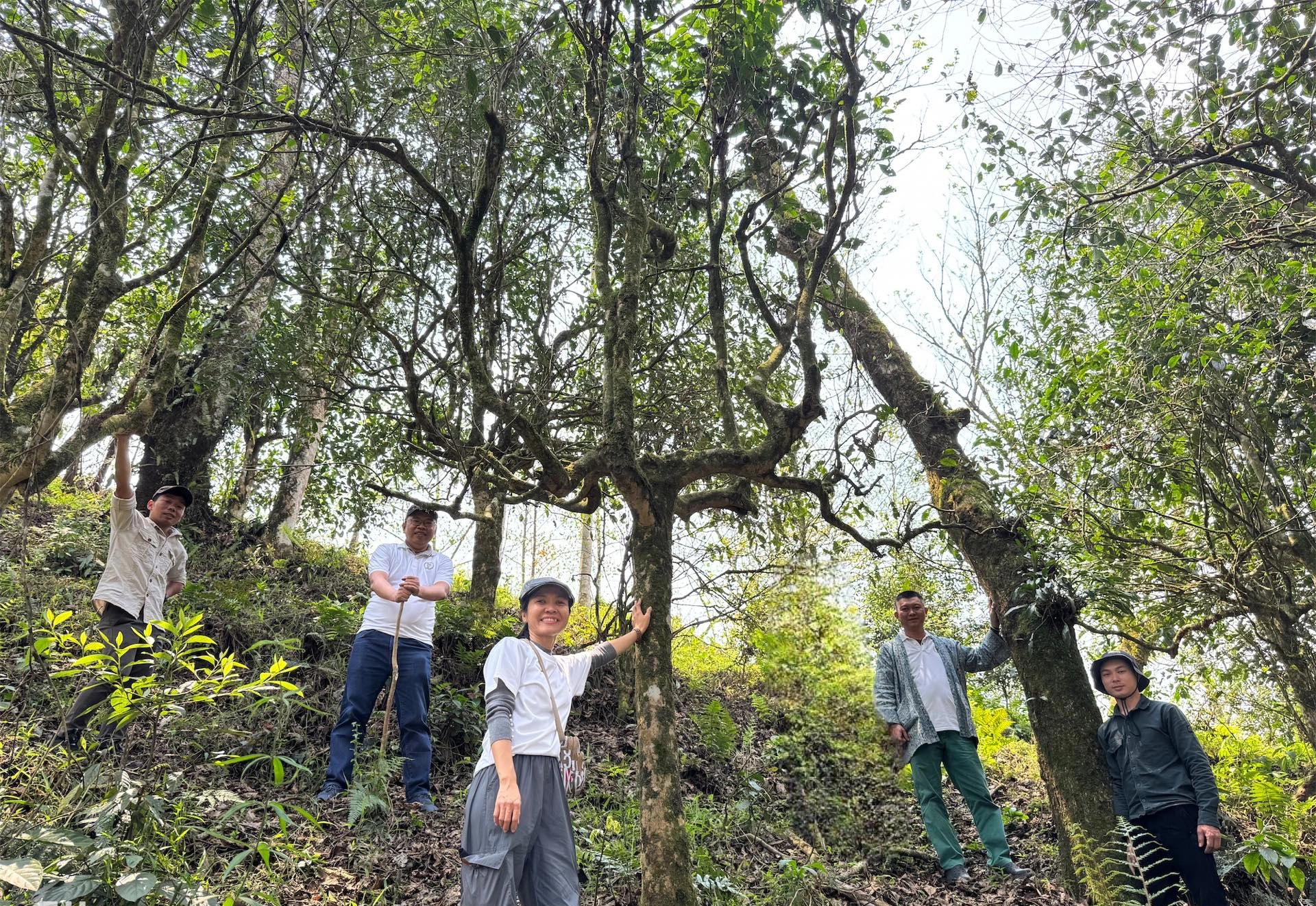 Uống trà đi ! Nghĩa đồng bào với non cao A Mú Sung - Ảnh 1.
