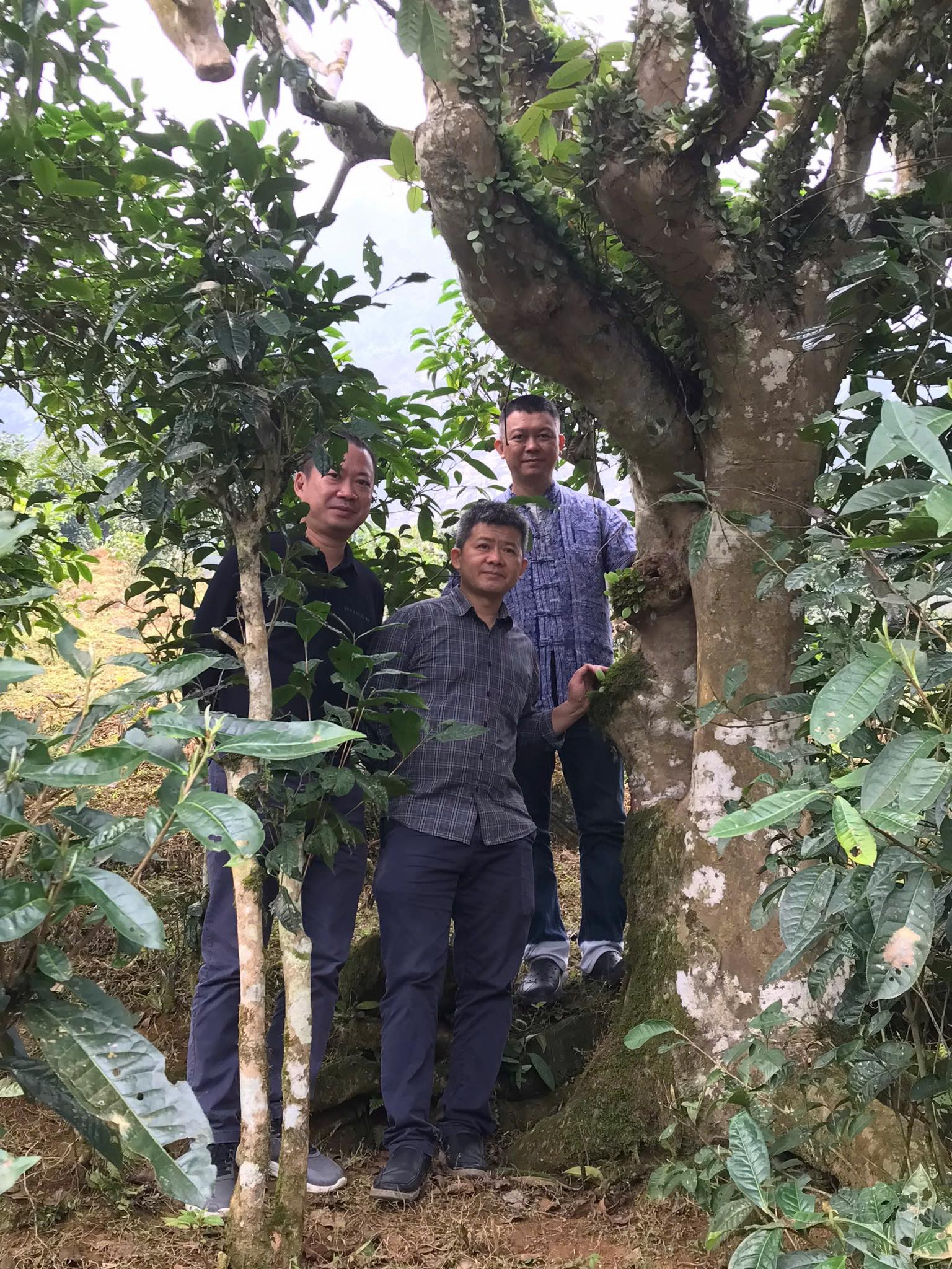 Uống trà đi ! Nghĩa đồng bào với non cao A Mú Sung - Ảnh 5.