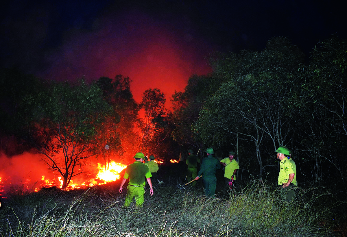 Rừng Quảng Bình: Báu vật thiên nhiên và công lao những người bảo vệ, phát triển rừng - Ảnh 2.