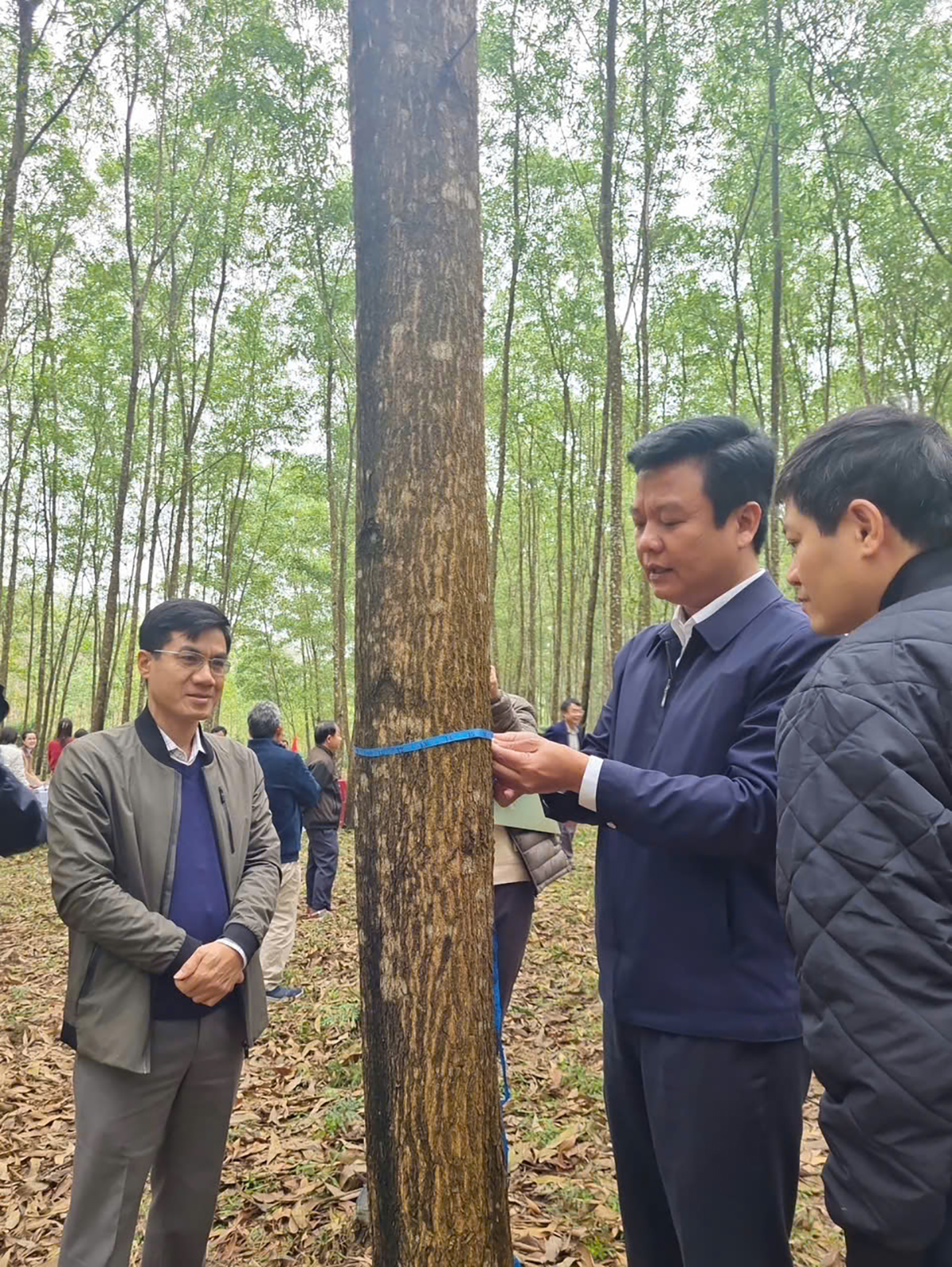 Rừng Quảng Bình: Báu vật thiên nhiên và công lao những người bảo vệ, phát triển rừng - Ảnh 3.