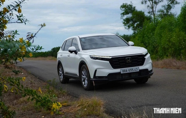 Crossover cỡ trung: Đại lý 'cắn răng' chịu lỗ, Ford Territory lần đầu vượt mặt Mazda CX-5 - Ảnh 3.
