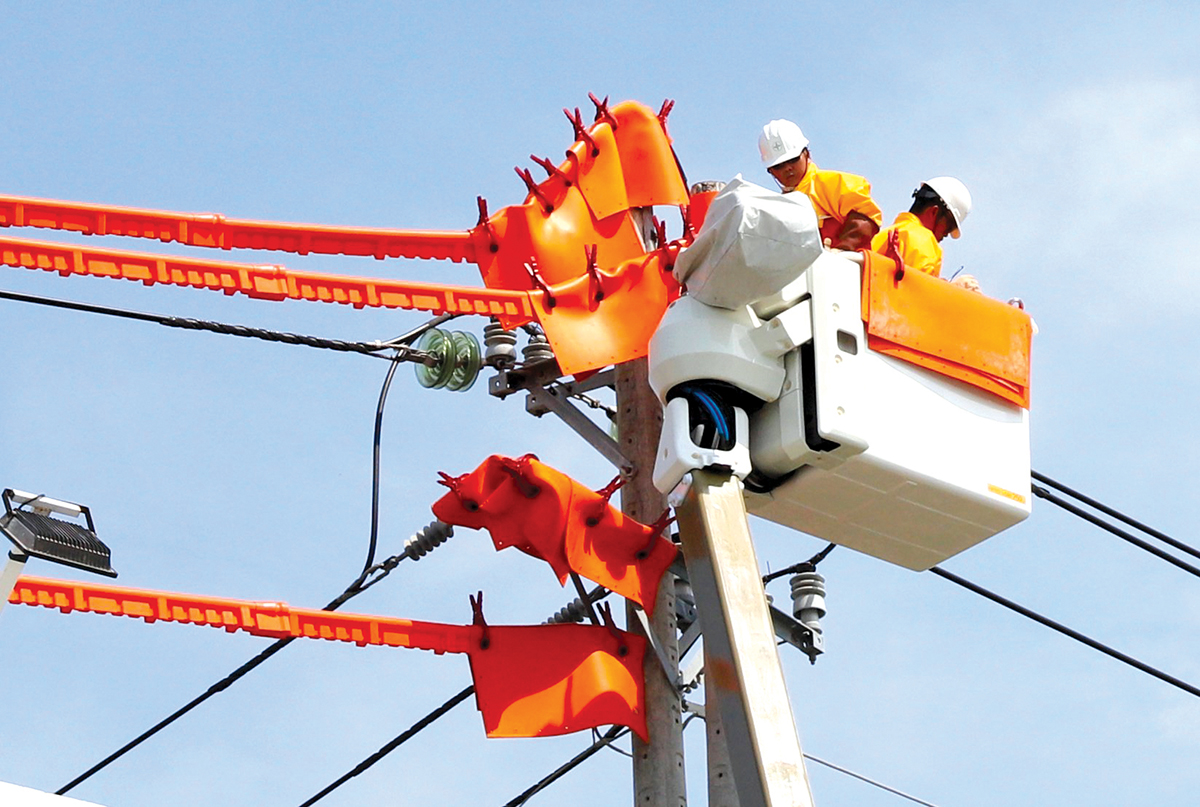 Công ty Điện lực Ninh Thuận: Ánh sáng của niềm tin - Ảnh 1. Công ty Điện lực Ninh Thuận: Ánh sáng của niềm tin - Ảnh 1.