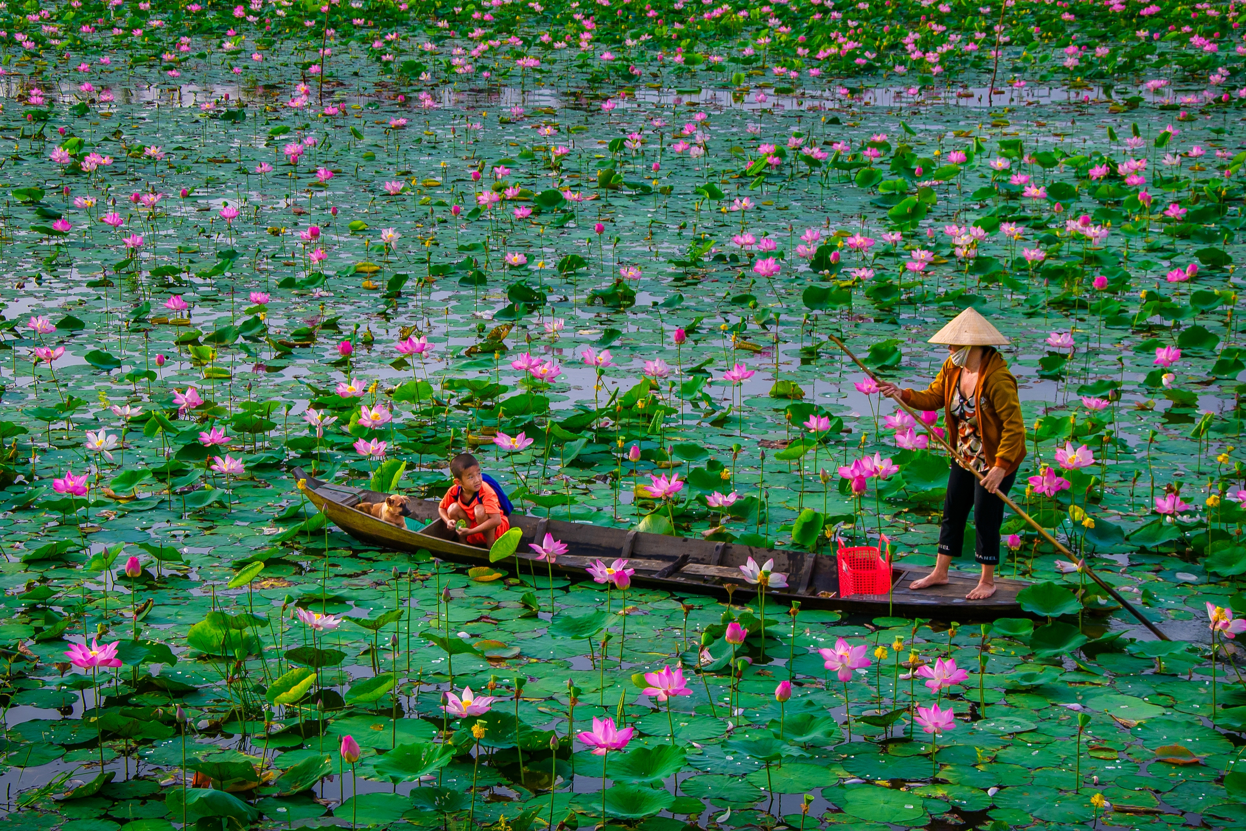 southern vietnam travel - unique destinations you shouldn't miss