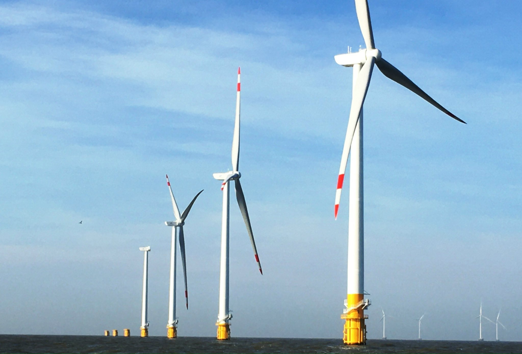 Khát vọng năng lượng xanh trên quê hương Đồng Khởi - Ảnh 2.