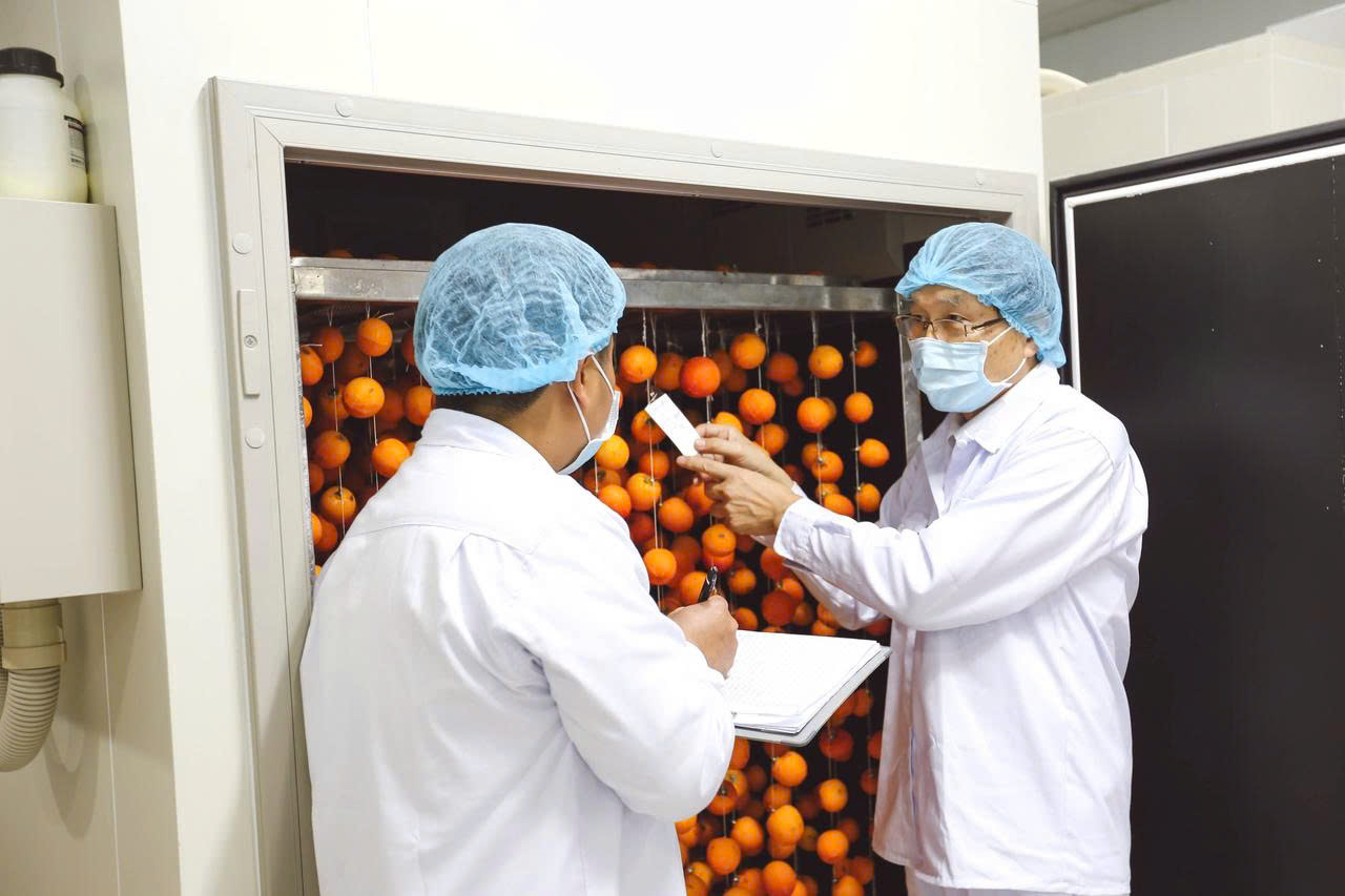 Langfarm - Hành trình từ đặc sản Đà Lạt đến trải nghiệm bản sắc Việt - Ảnh 2.