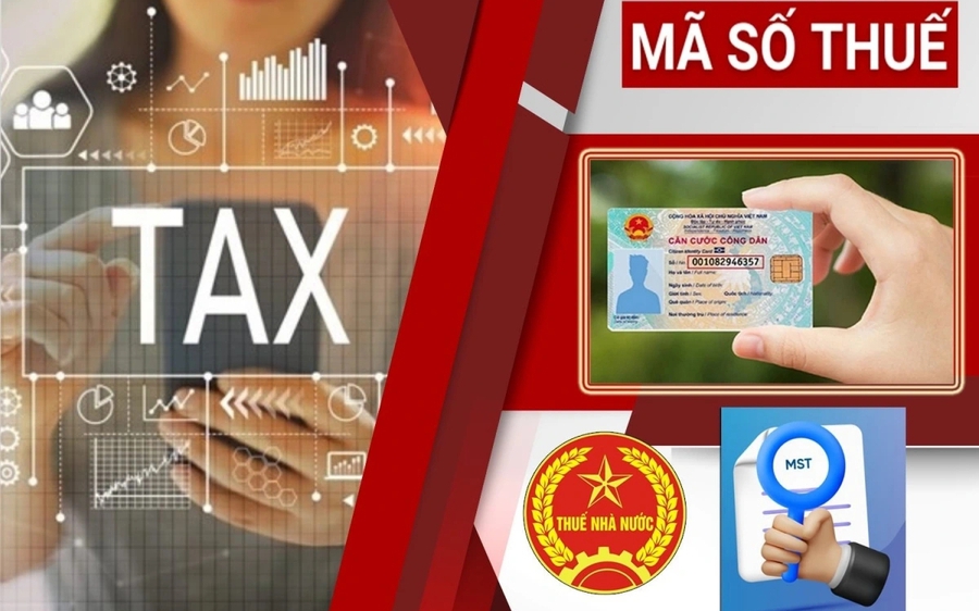 Cục thuế hướng dẫn sử dụng số định danh thay mã số thuế từ 1 . 7 - Ảnh 1.