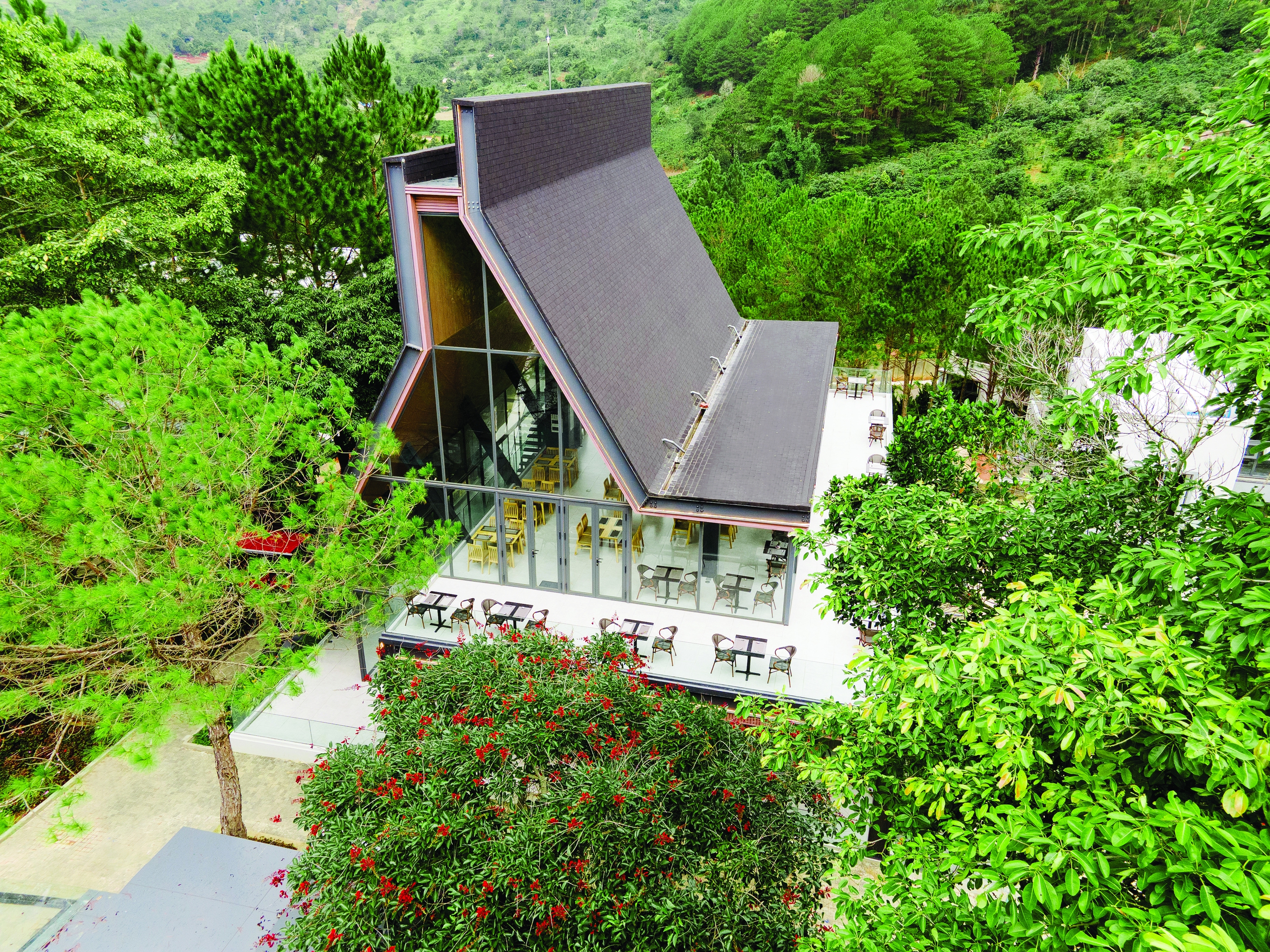 एलिफेंट माउंटेन पाइन फॉरेस्ट - दा लाट के हृदय में नया इको-पर्यटन स्थल - फोटो 4. Rừng Thông Núi Voi - Điểm du lịch sinh thái mới giữa lòng Đà Lạt- Ảnh 4.