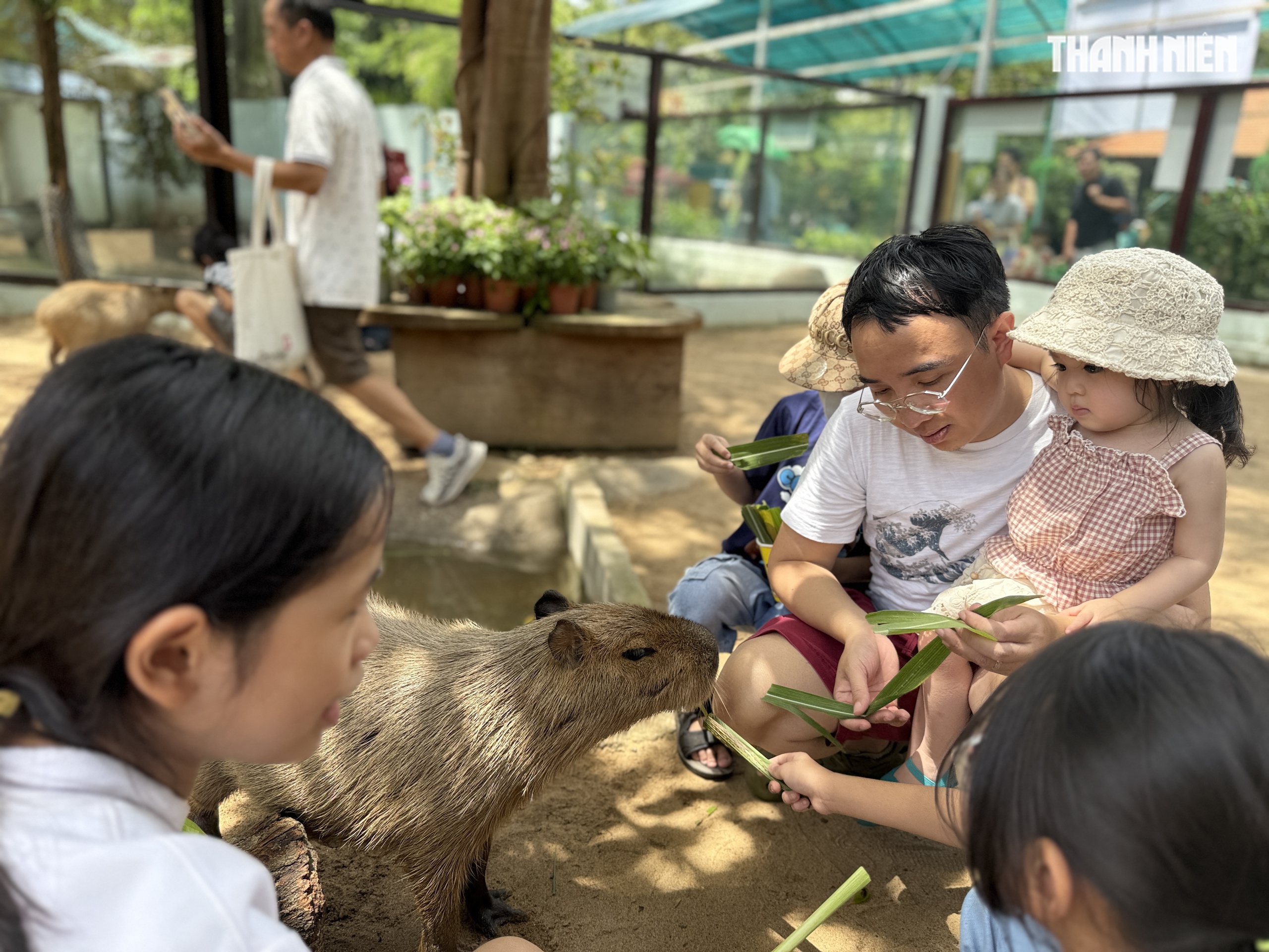 Vườn thú mới toanh ngay trung tâm TP.HCM hè 2025: Capybara, cầy Meerkat… bé nào cũng mê Vườn thú mới toanh ngay trung tâm TP.HCM hè 2025: Capybara, cầy Meerkat… bé nào cũng mê