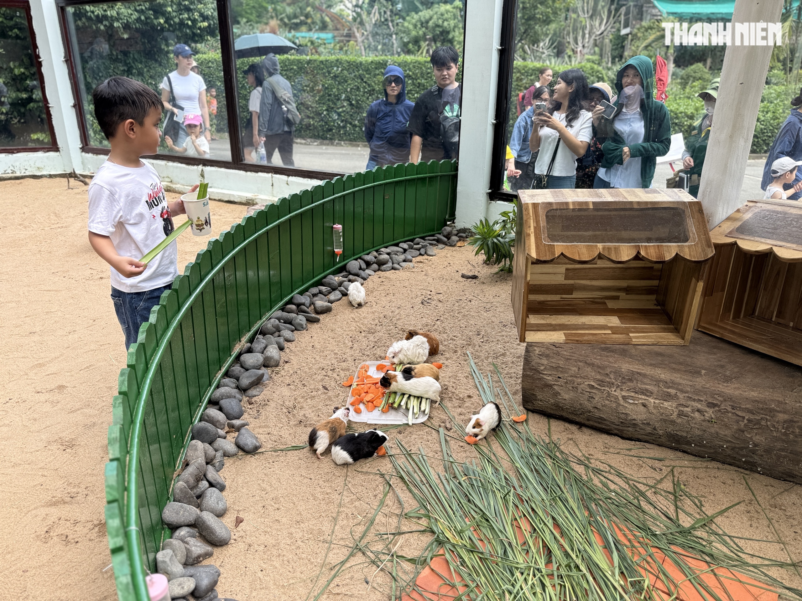 Vườn thú mới toanh ngay trung tâm TP.HCM: Capybara, cầy Meerkat... bé nào cũng mê - Ảnh 9. Vườn thú mới toanh ngay trung tâm TP.HCM: Capybara, cầy Meerkat... bé nào cũng mê - Ảnh 9.