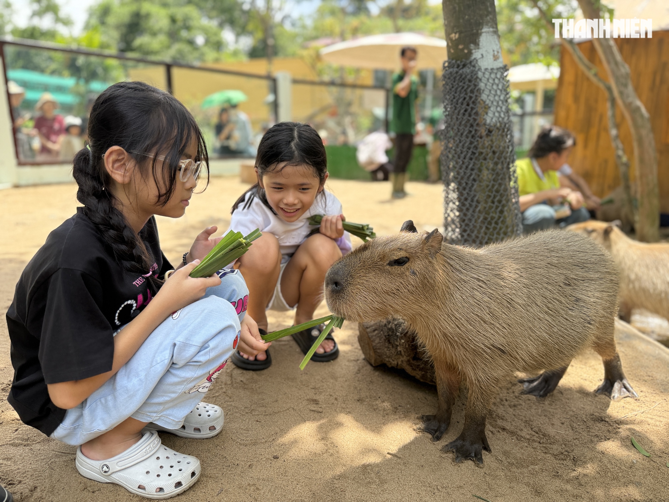 Vườn thú mới toanh ngay trung tâm TP.HCM: Capybara, cầy Meerkat... bé nào cũng mê - Ảnh 2. Vườn thú mới toanh ngay trung tâm TP.HCM: Capybara, cầy Meerkat... bé nào cũng mê - Ảnh 2.