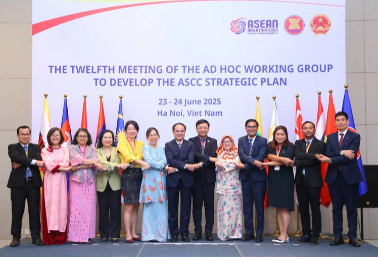 Việt Nam cải cách tổ chức bộ máy đồng hành với tầm nhìn ASEAN - Ảnh 1. Việt Nam cải cách tổ chức bộ máy đồng hành với tầm nhìn ASEAN - Ảnh 1.