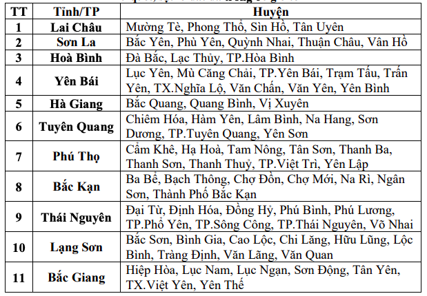  - Ảnh 2.