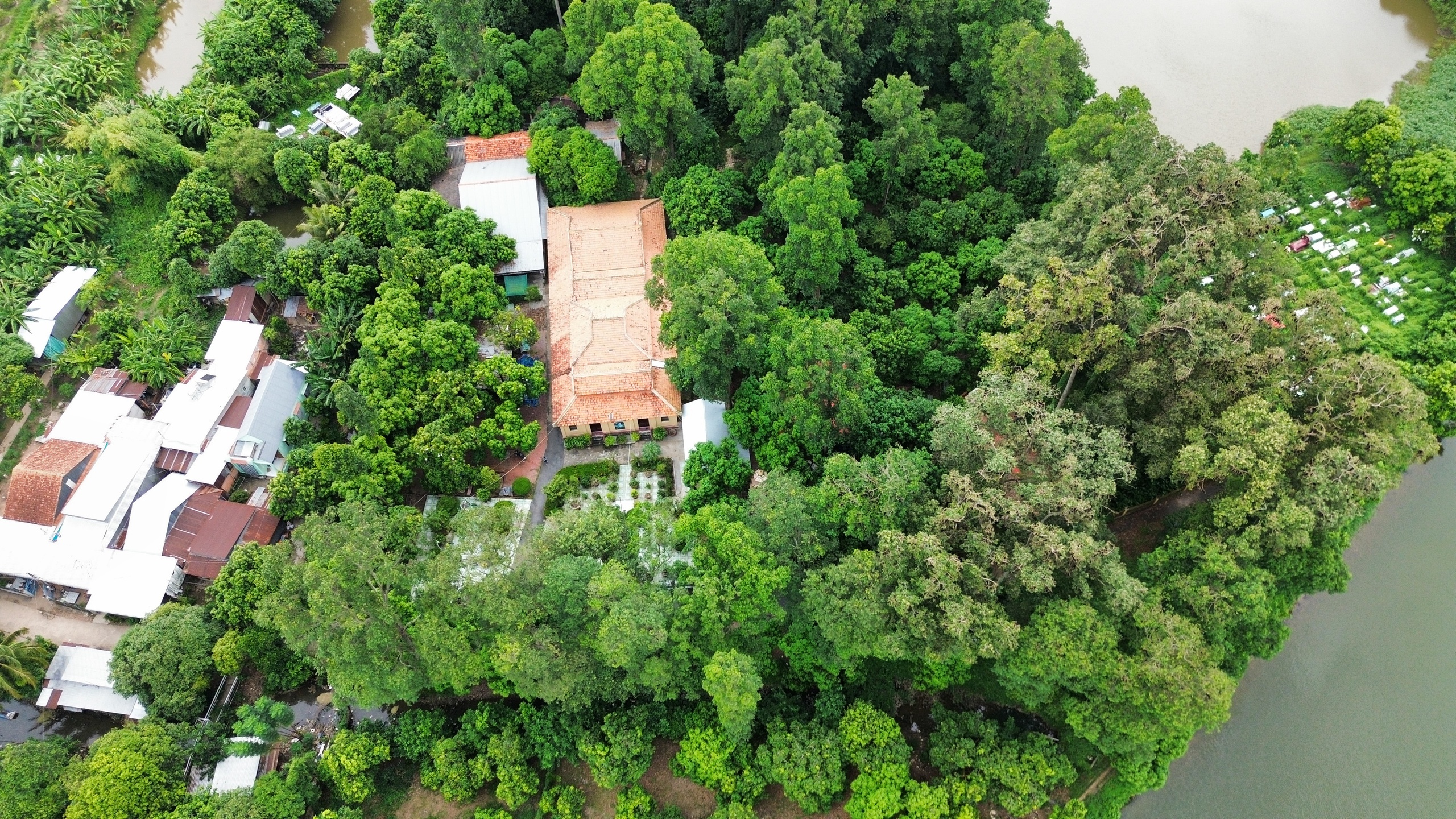 - Zdjęcie 1.  - Ảnh 1.